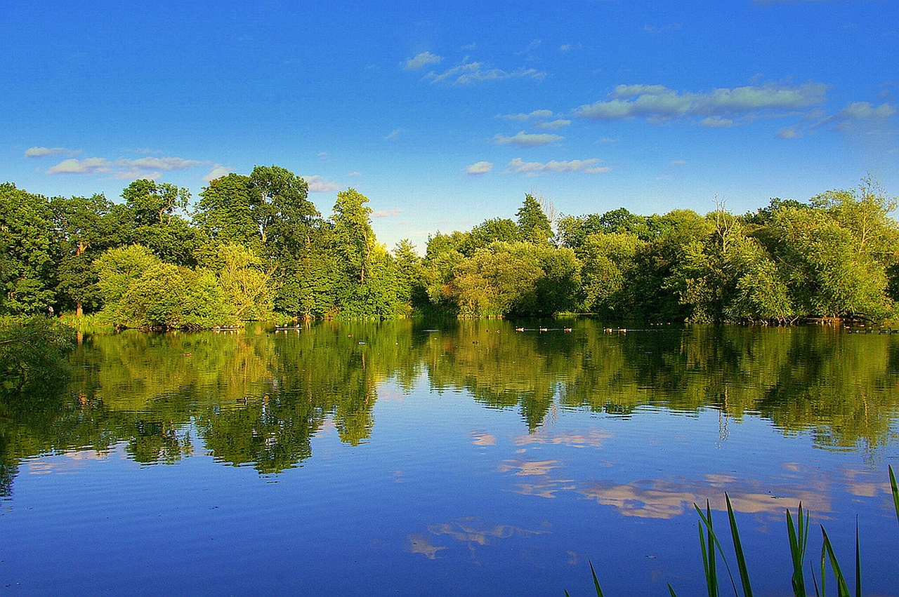 Descarga gratis la imagen Tierra/naturaleza, Reflejo en el escritorio de tu PC