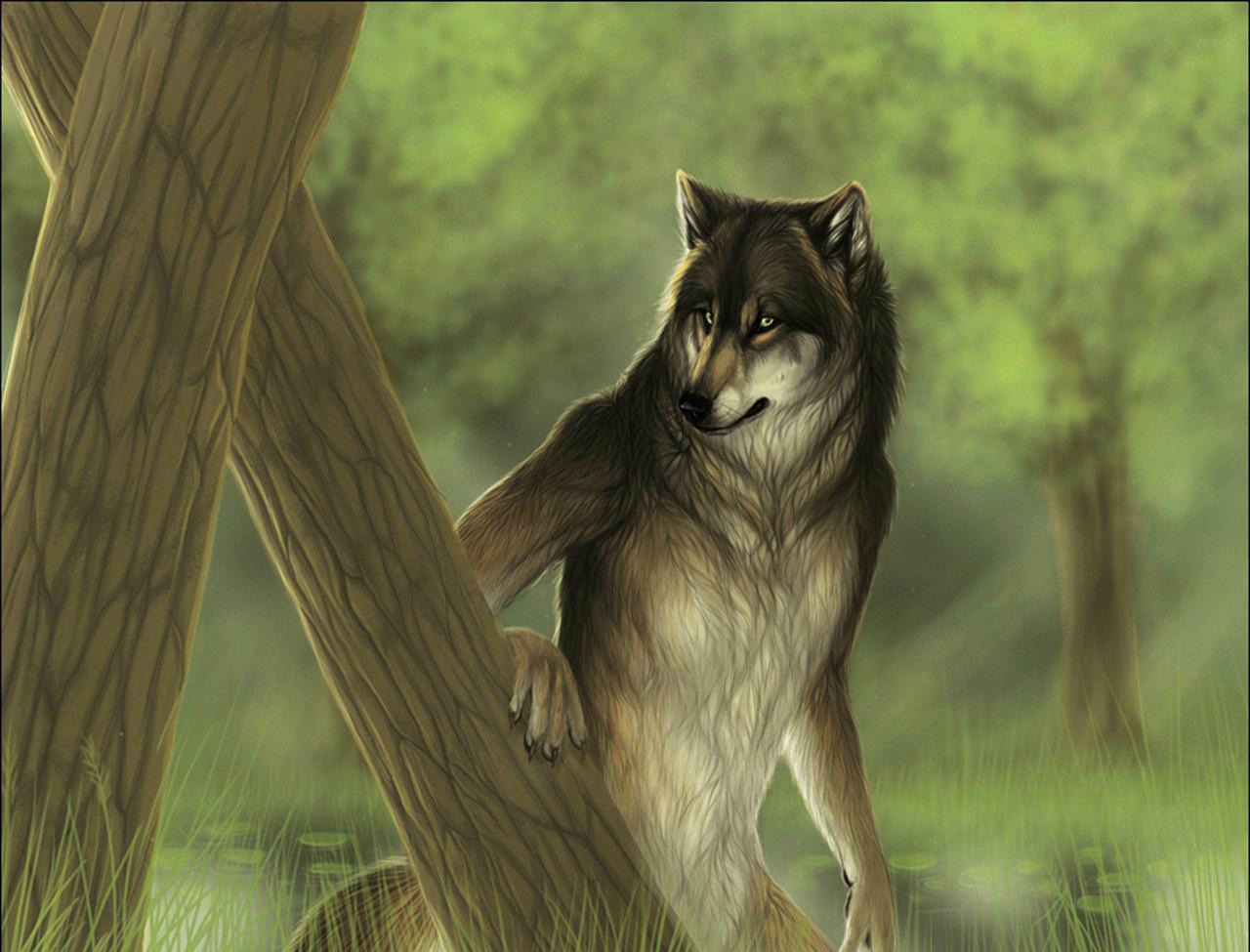 Free download wallpaper Werewolf, Dark on your PC desktop