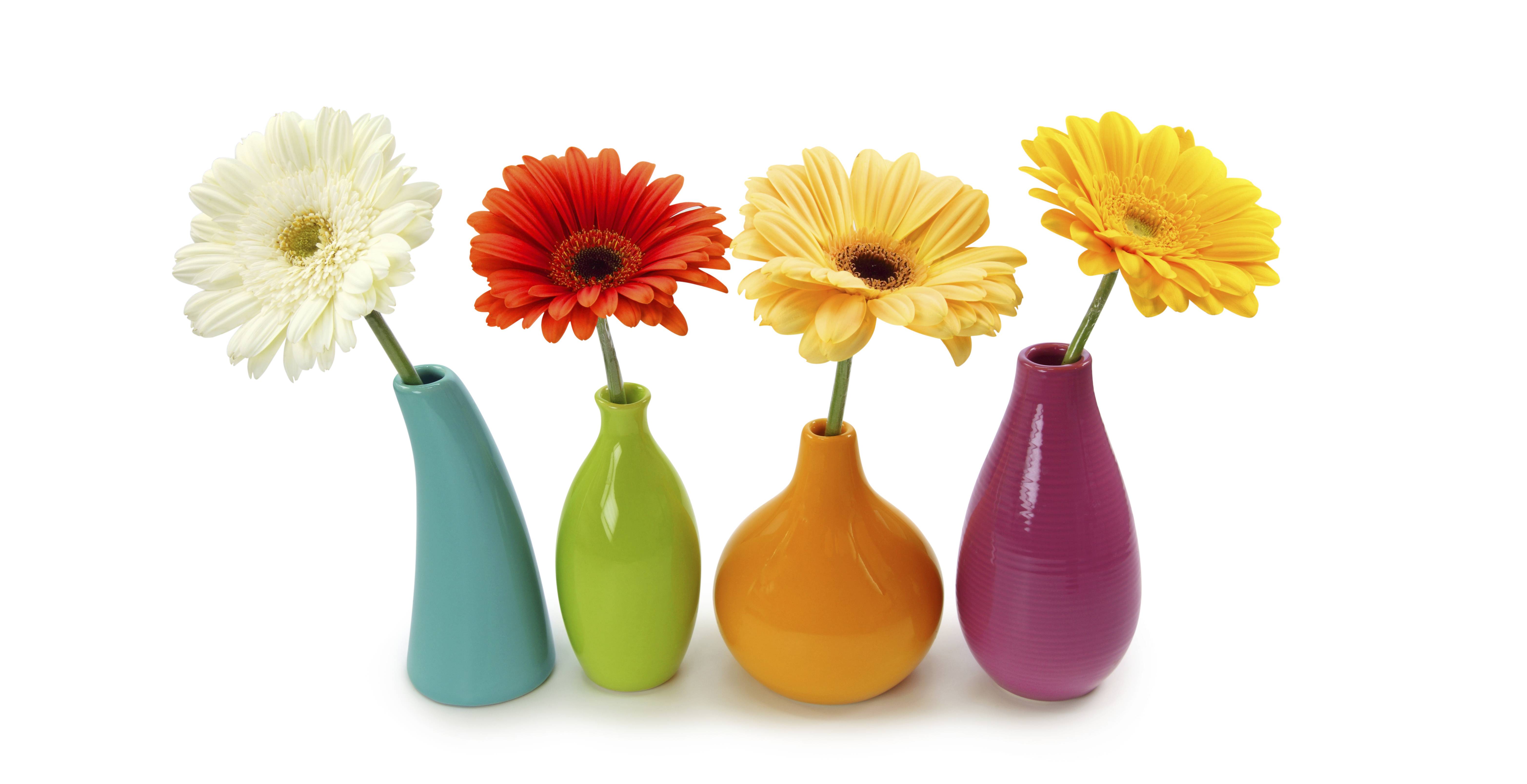 Téléchargez gratuitement l'image Fleur, Vase, Fleur Jaune, Fleur Blanche, Fleur Rouge, Construction Humaine sur le bureau de votre PC