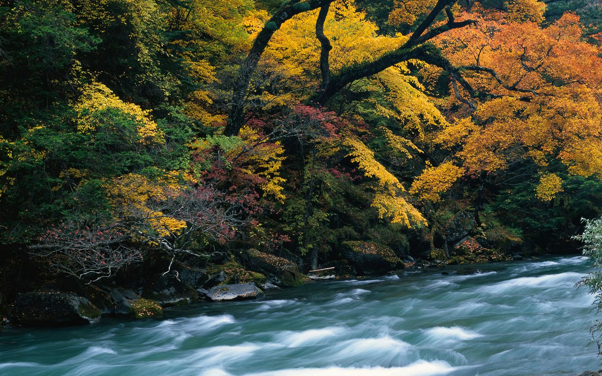 Free download wallpaper Forest, Fall, Earth, River on your PC desktop