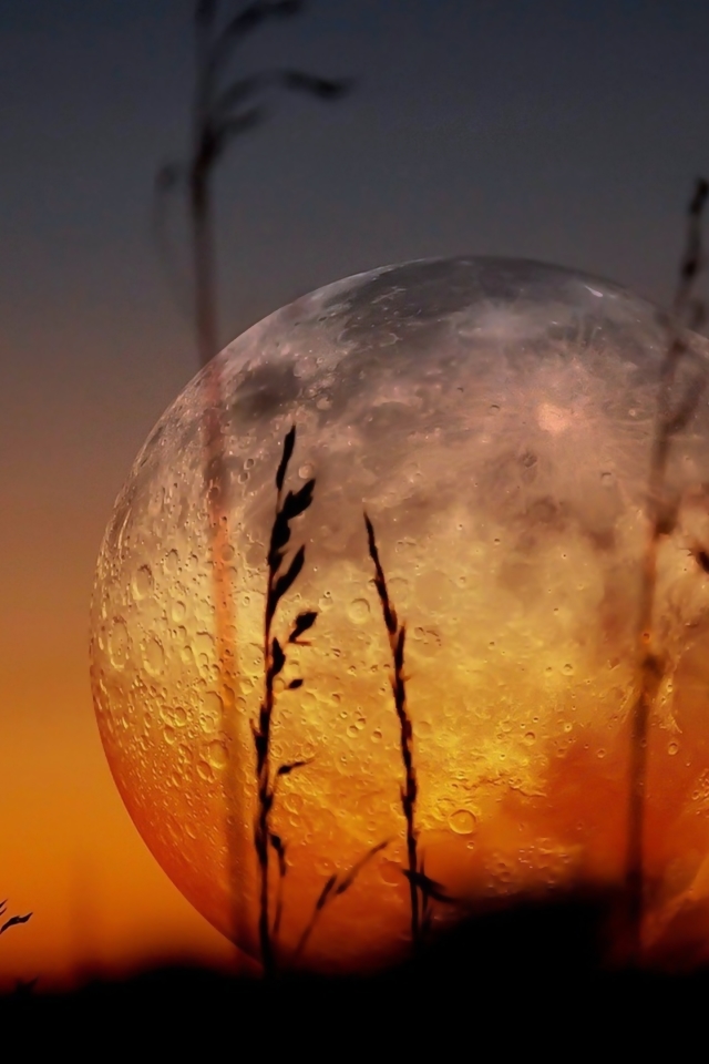 Download mobile wallpaper Nature, Sunset, Moon, Earth for free.