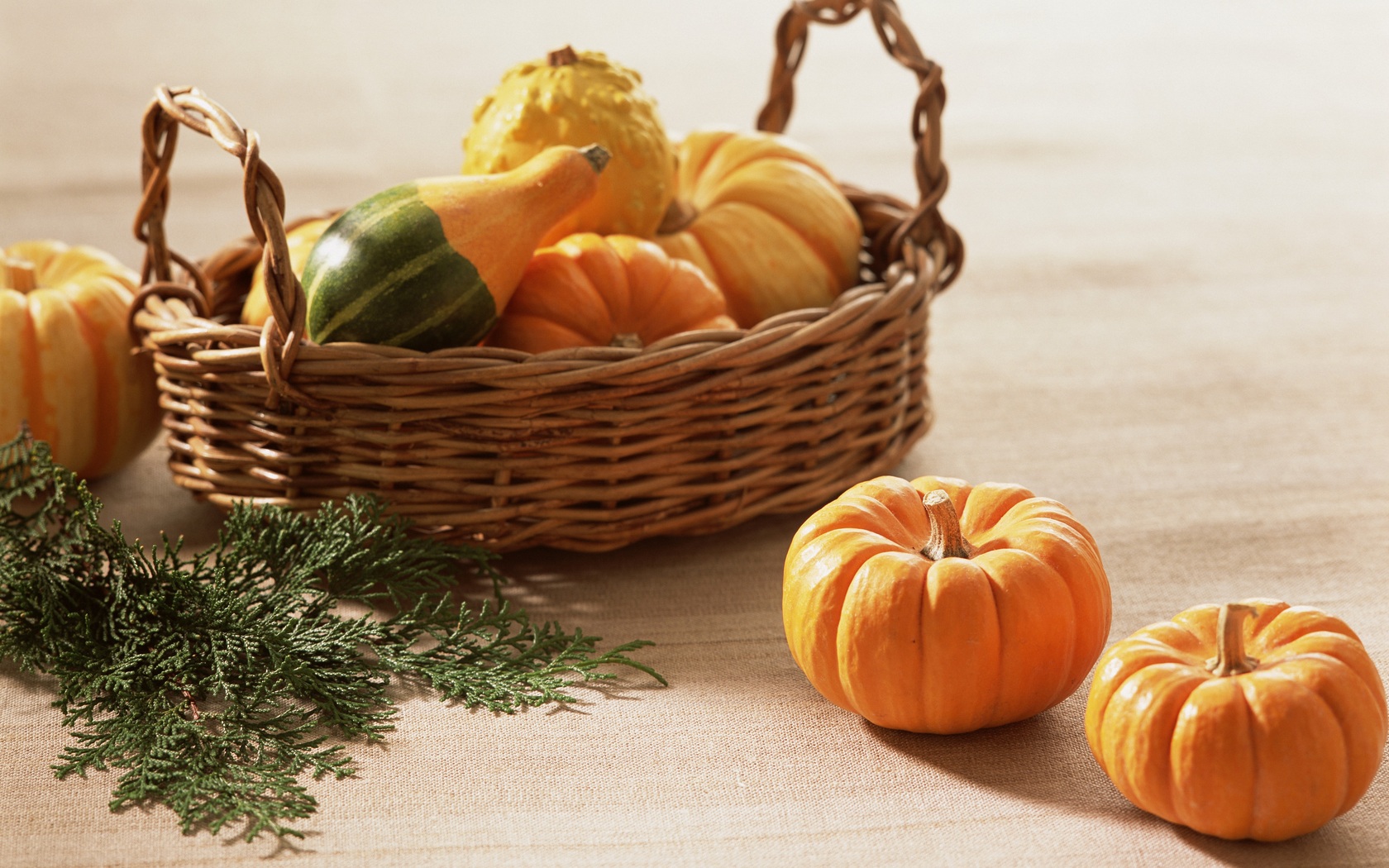 Download mobile wallpaper Food, Pumpkin for free.