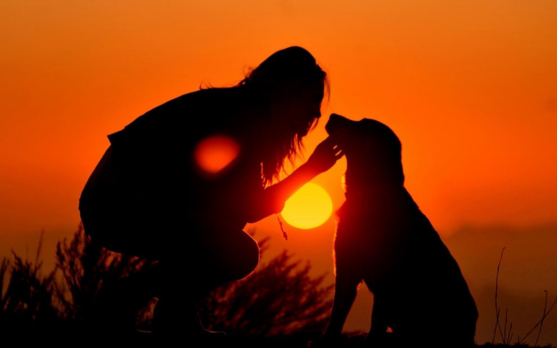 Download mobile wallpaper Dog, Shadow, Shine, Light, Silhouettes, Dark, Girl for free.