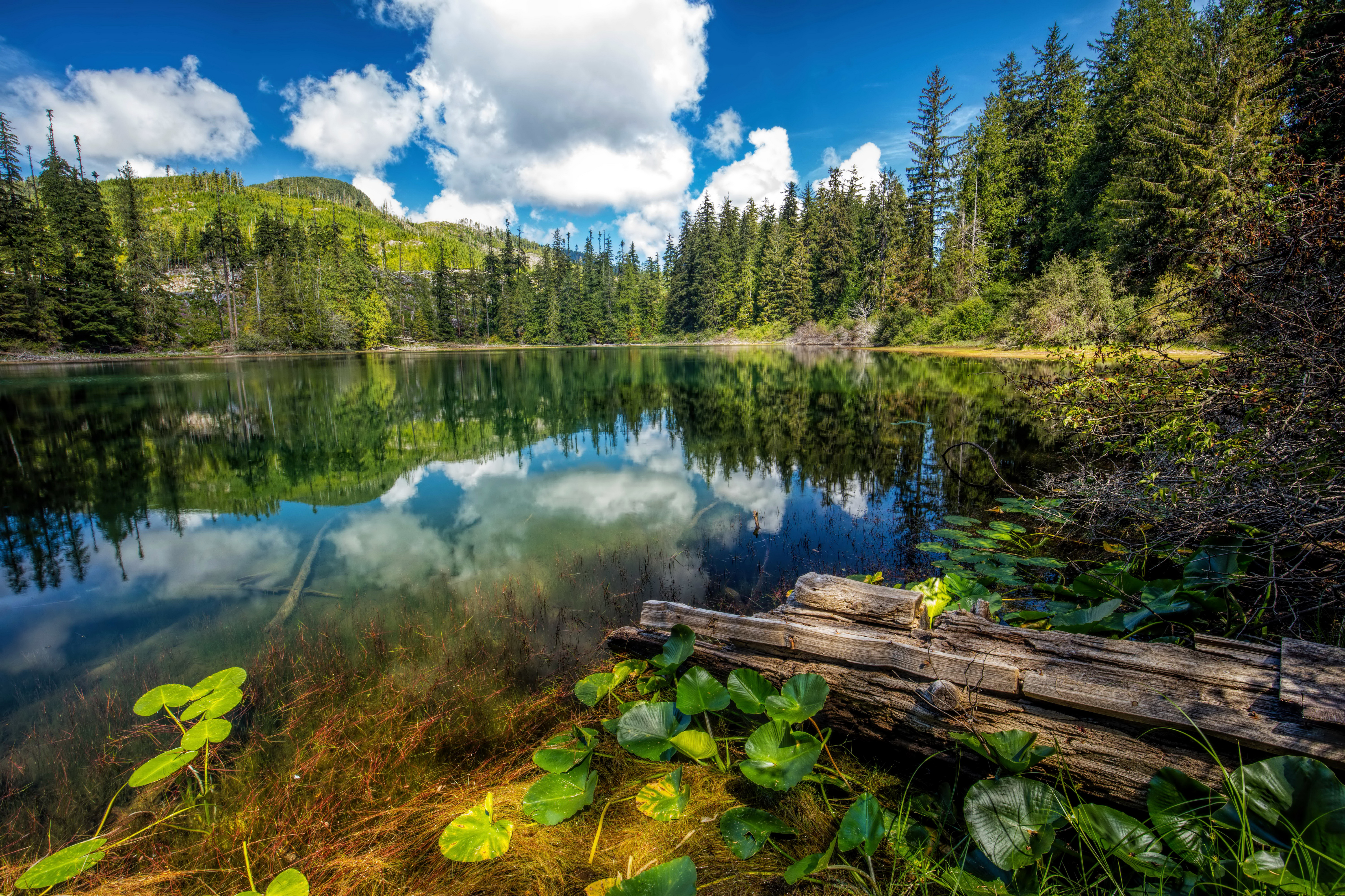 Descarga gratis la imagen Naturaleza, Lago, Árbol, Nube, Tierra/naturaleza, Reflejo en el escritorio de tu PC