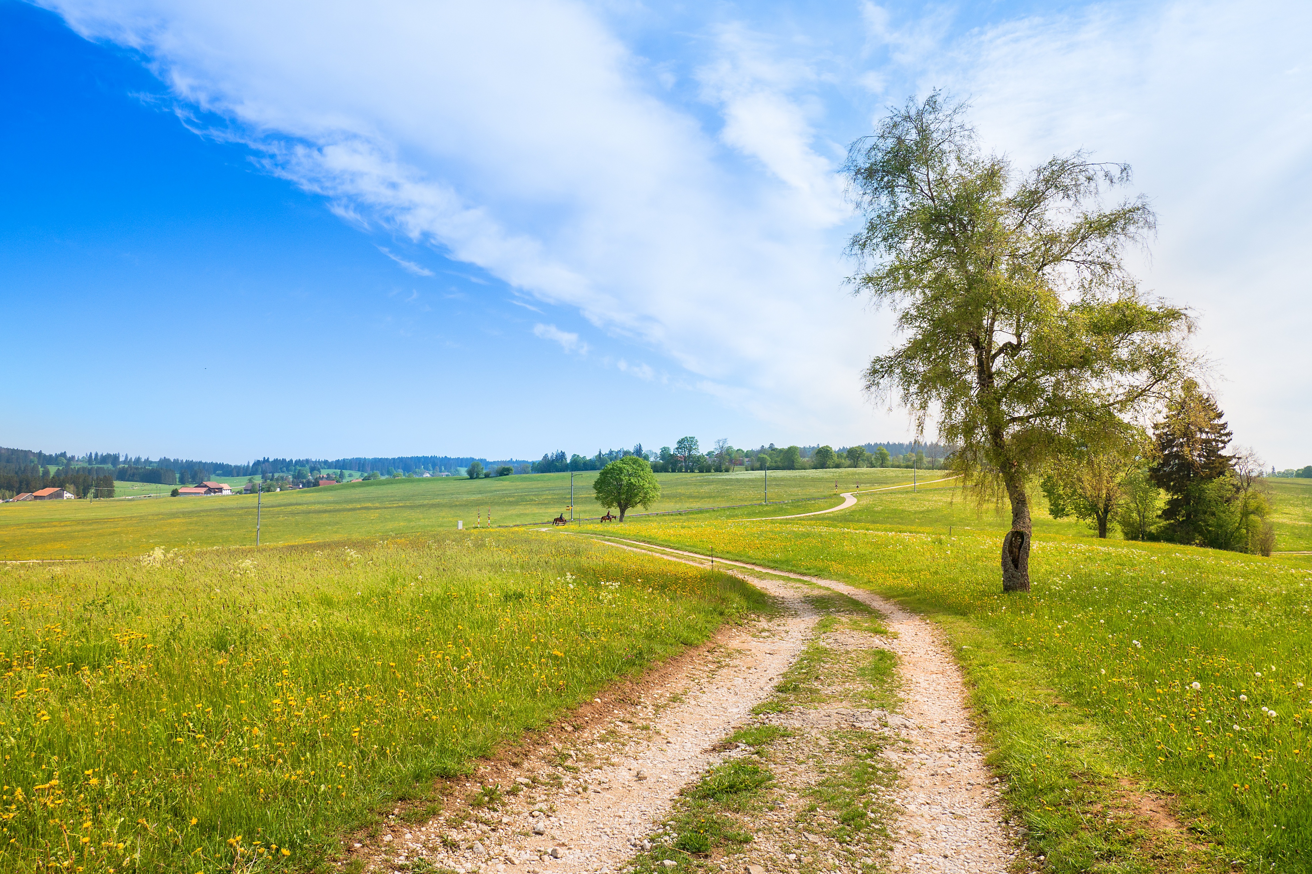 Download mobile wallpaper Sky, Road, Tree, Field, Switzerland, Cloud, Man Made for free.