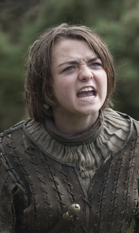 Download mobile wallpaper Game Of Thrones, Tv Show, Maisie Williams, Arya Stark for free.