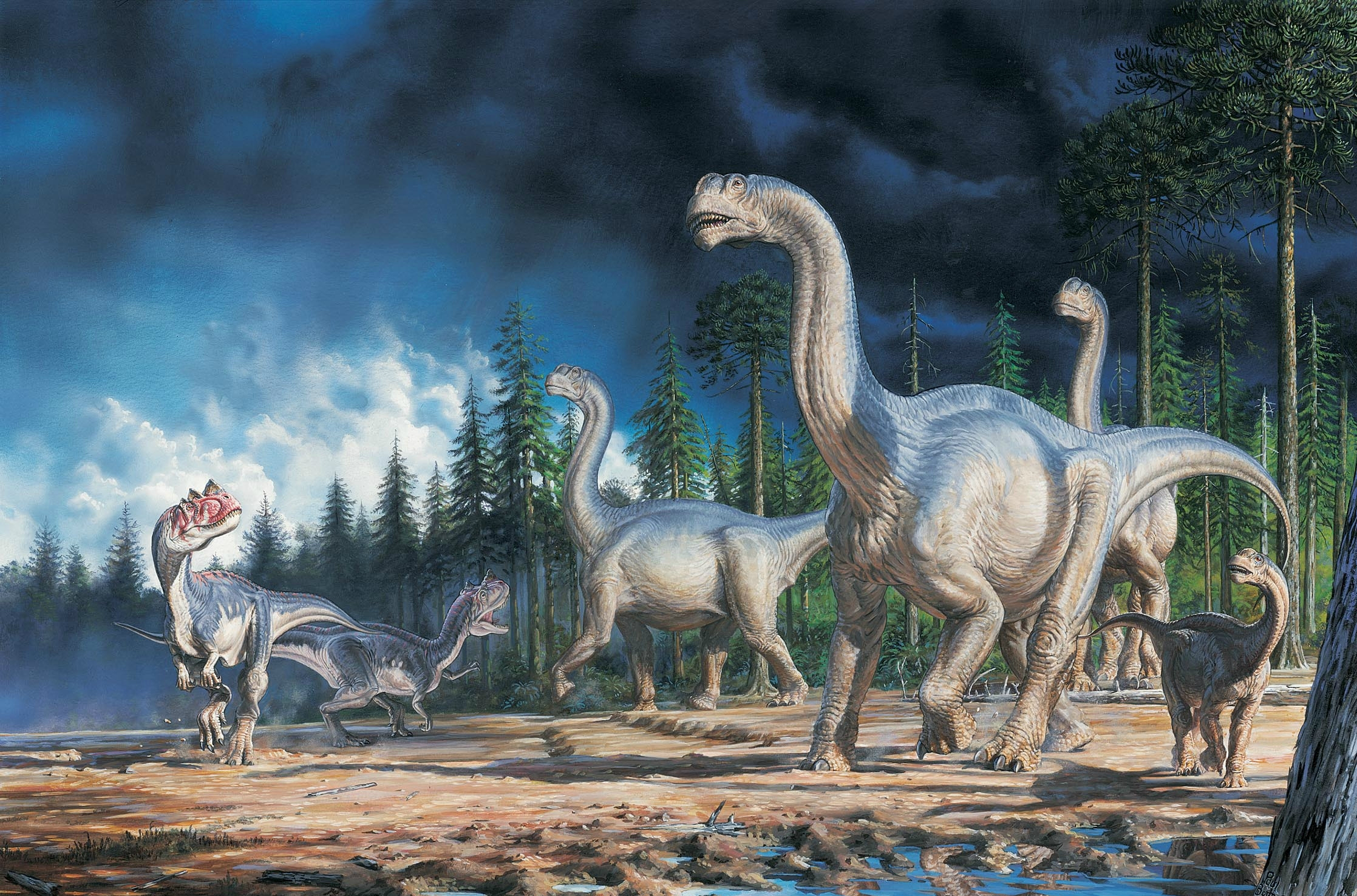 190045 скачать обои динозавры, динозавр, животные - заставки и картинки бесплатно
