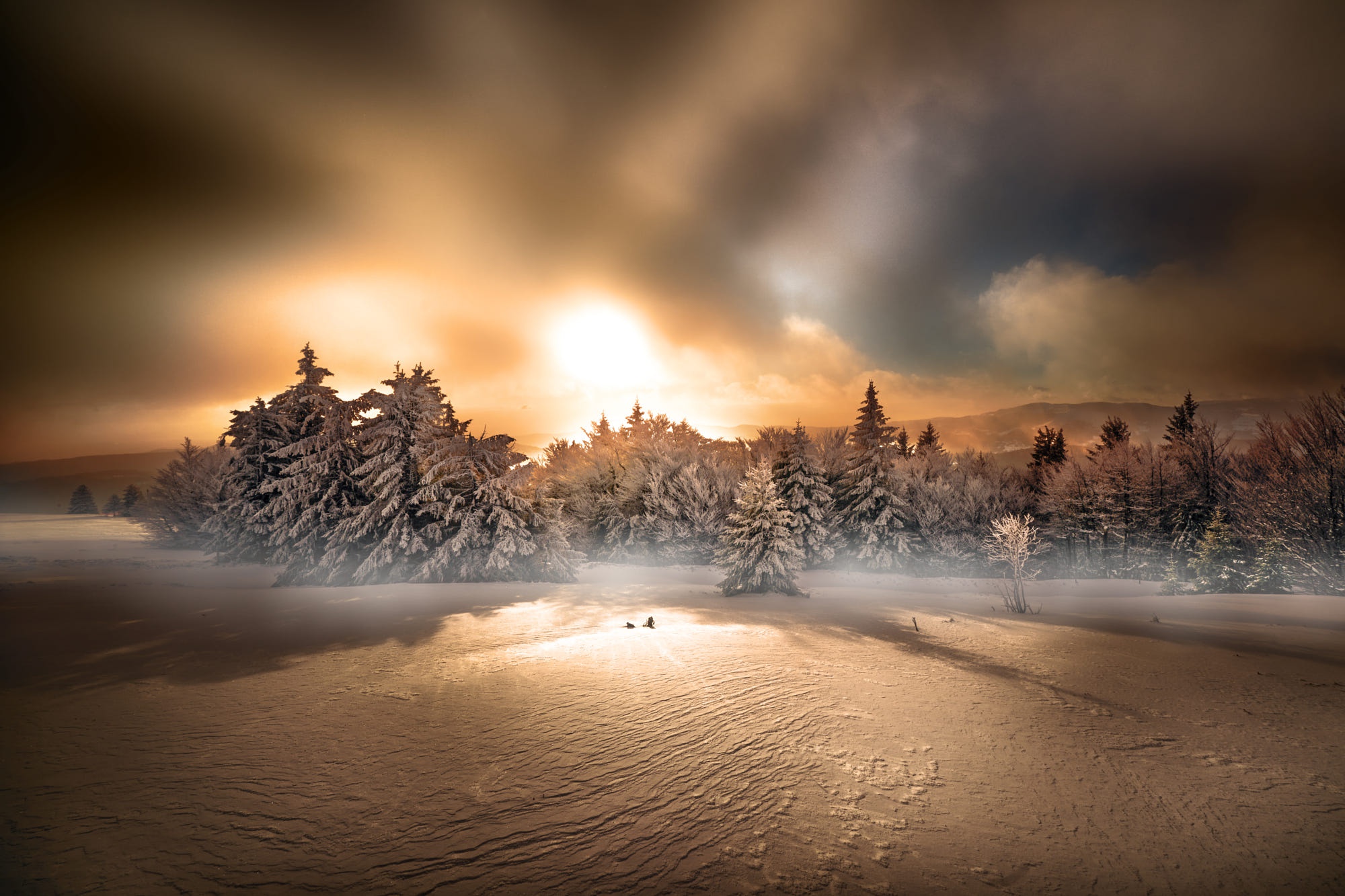 Laden Sie das Winter, Natur, Schnee, Wald, Sonnenuntergang, Erde/natur-Bild kostenlos auf Ihren PC-Desktop herunter