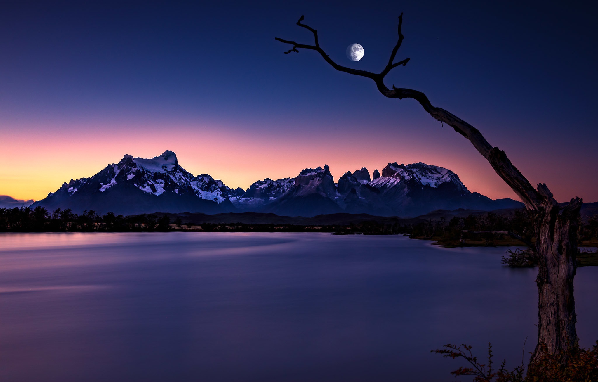 Laden Sie das Mond, Baum, Gebirge, Nacht, Berge, Erde/natur, Nationalpark Torres Del Paine-Bild kostenlos auf Ihren PC-Desktop herunter