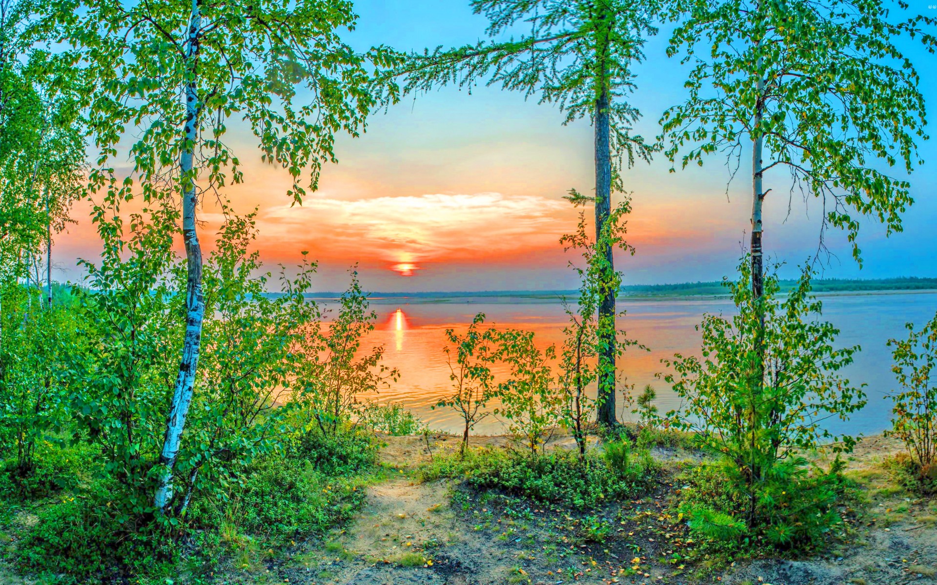 Téléchargez gratuitement l'image Coucher De Soleil, Lac, Arbre, Bouleau, Ciel, Terre/nature sur le bureau de votre PC
