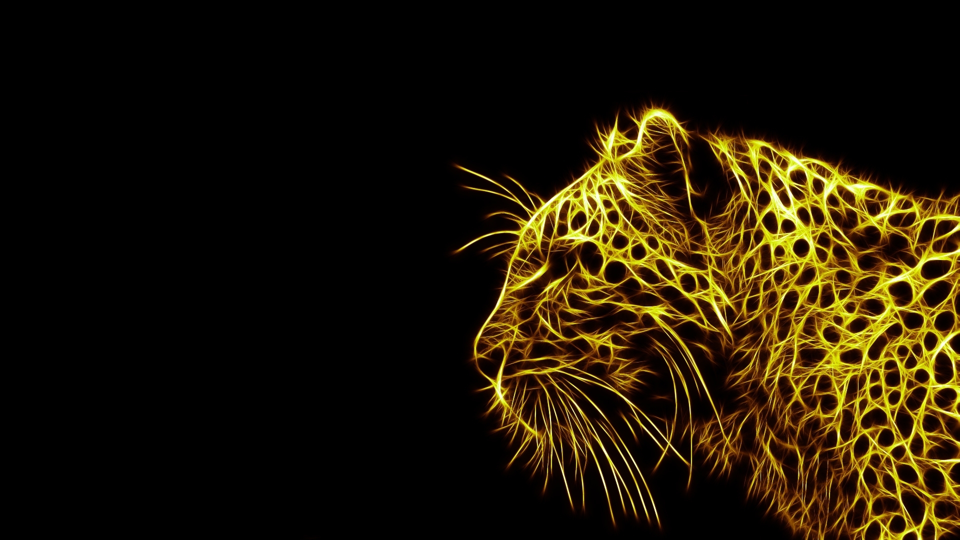 Download mobile wallpaper Leopard, Cats, Animal for free.