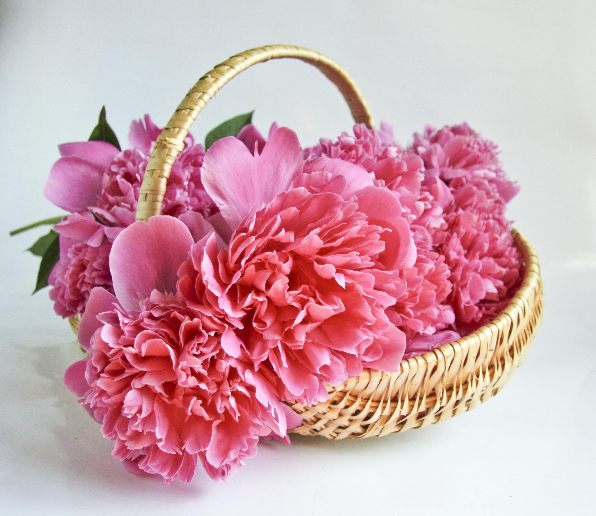 Handy-Wallpaper Blume, Korb, Menschengemacht, Pinke Blume kostenlos herunterladen.