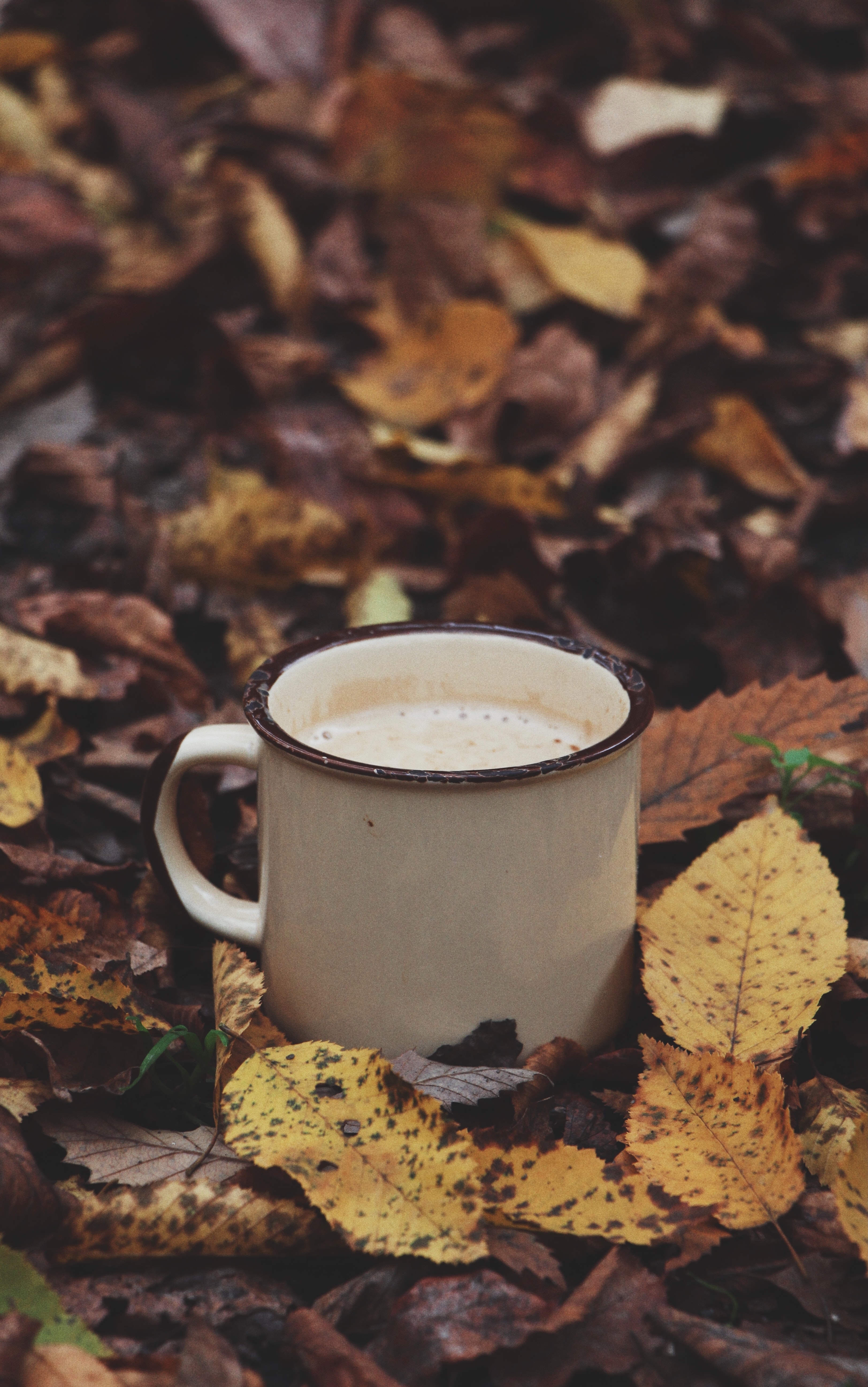 New Lock Screen Wallpapers leaves, coffee, miscellanea, miscellaneous, cup, drink, beverage, mug