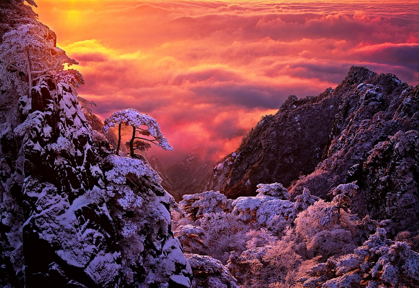 Descarga gratis la imagen Invierno, Montaña, Árbol, Nube, Atardecer, Tierra/naturaleza en el escritorio de tu PC