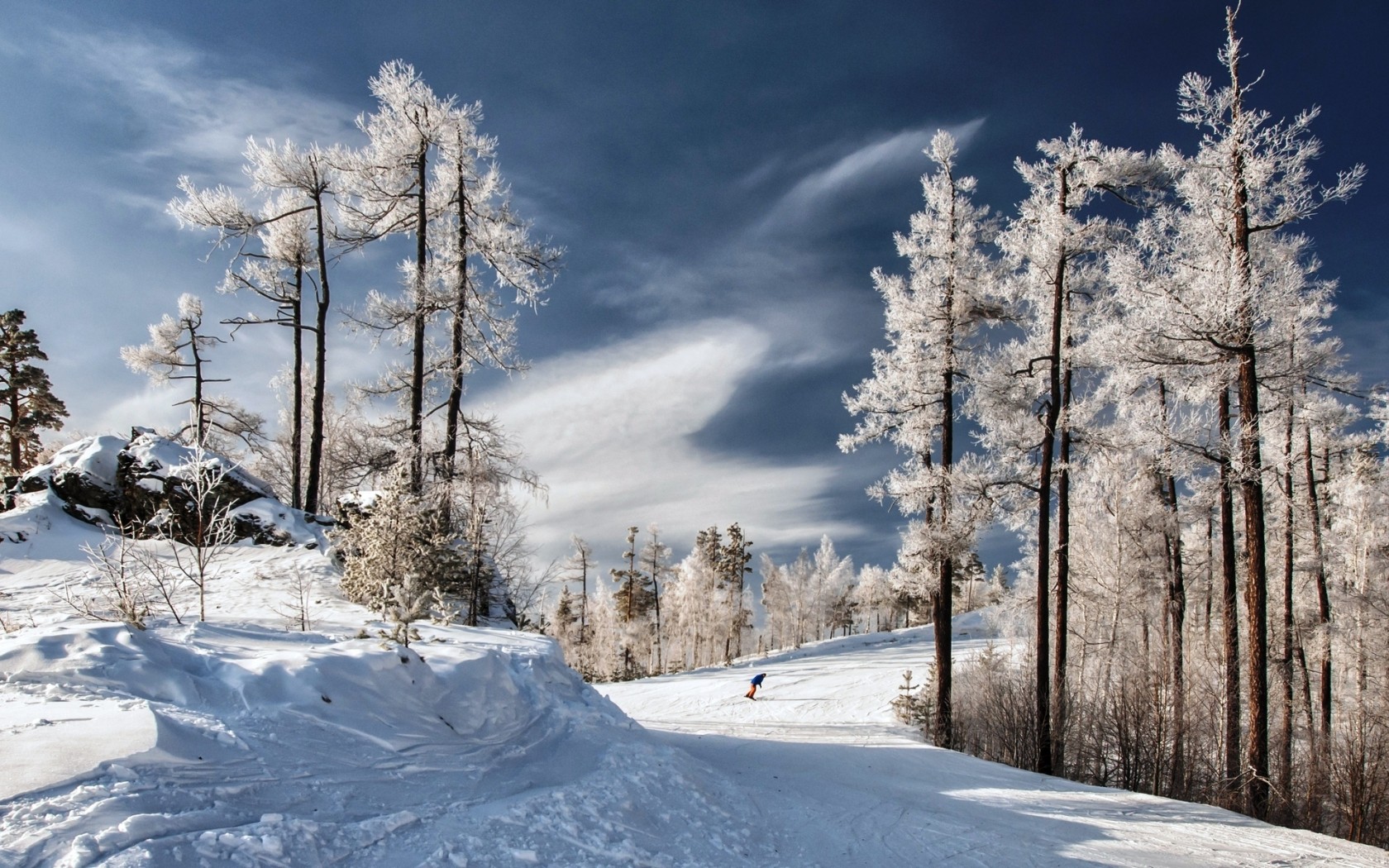 Скачать обои бесплатно Зима, Снег, Дерево, Виды Спорта, Катание На Сноуборде картинка на рабочий стол ПК