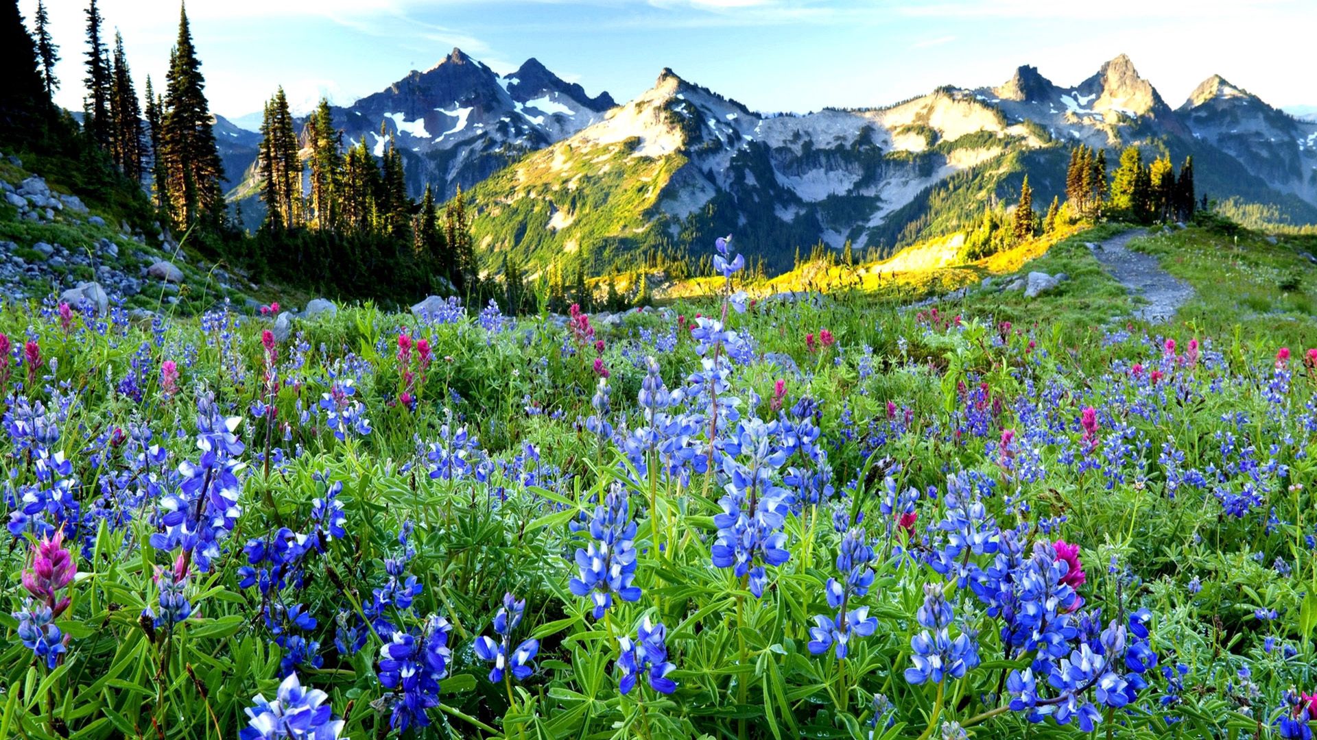 101756 télécharger l'image nature, montagnes, fleurs, sky, dahl, distance - fonds d'écran et économiseurs d'écran gratuits