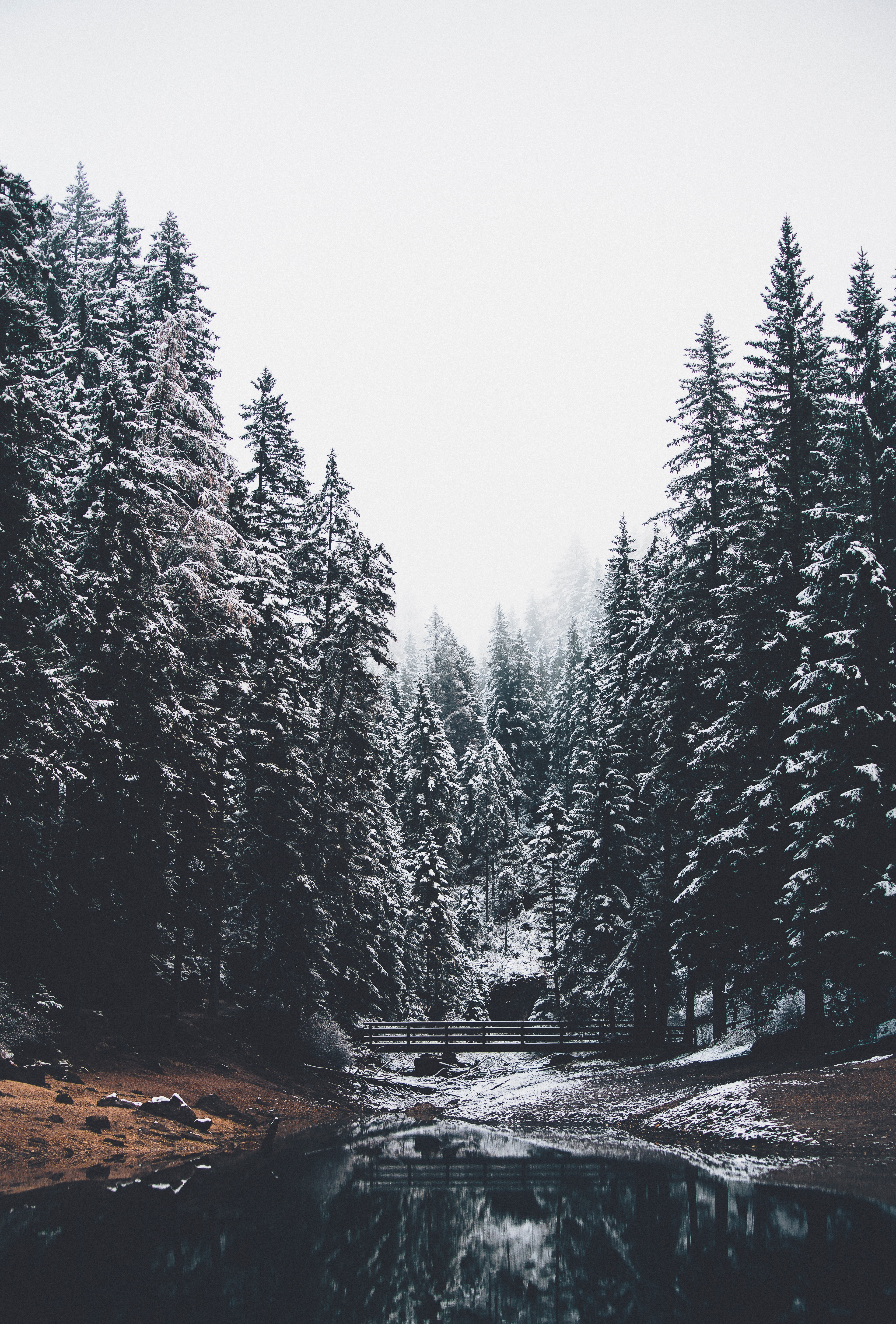 Download mobile wallpaper Pine, Bridge, Forest, Rivers, Snow, Nature, Landscape for free.