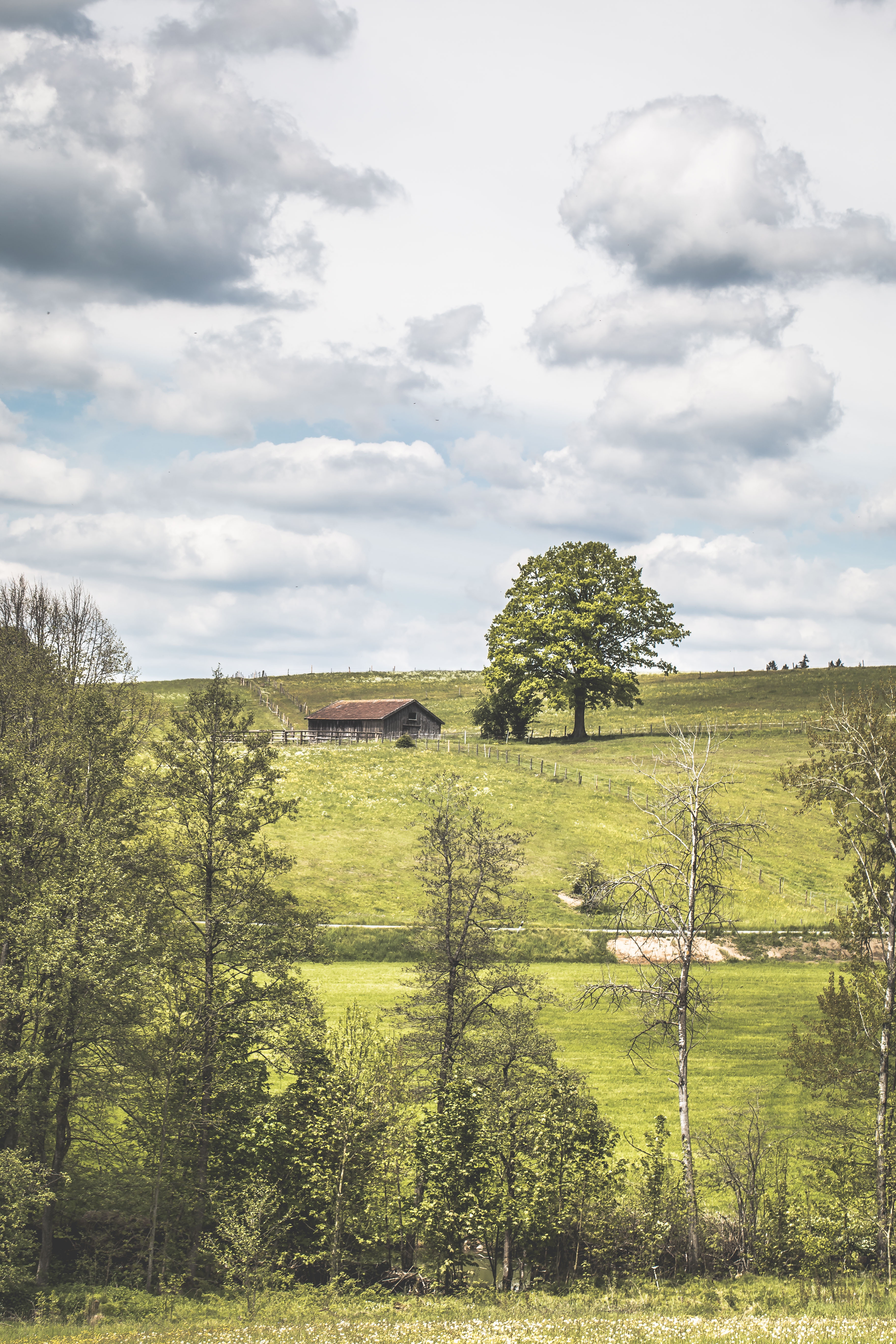 Free download wallpaper Nature, Trees, Grass, Clouds, Summer, Glade, Lodge, Polyana, Small House on your PC desktop
