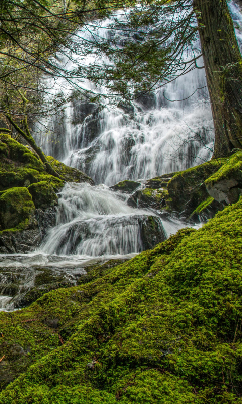 Download mobile wallpaper Nature, Waterfalls, Waterfall, Forest, Earth, Moss for free.