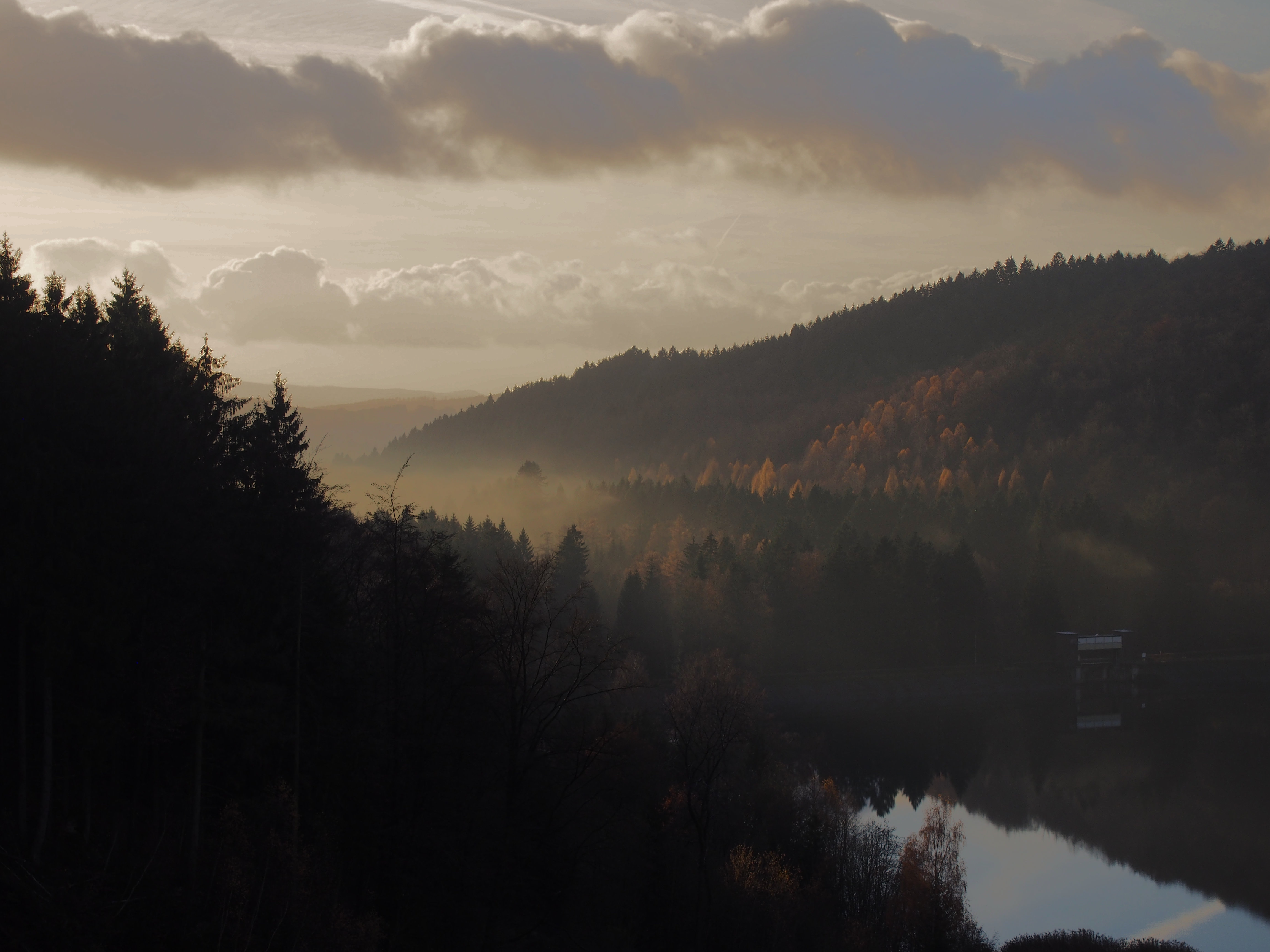 PCデスクトップに丘, 自然, 森林, 森, 霧, 風景画像を無料でダウンロード