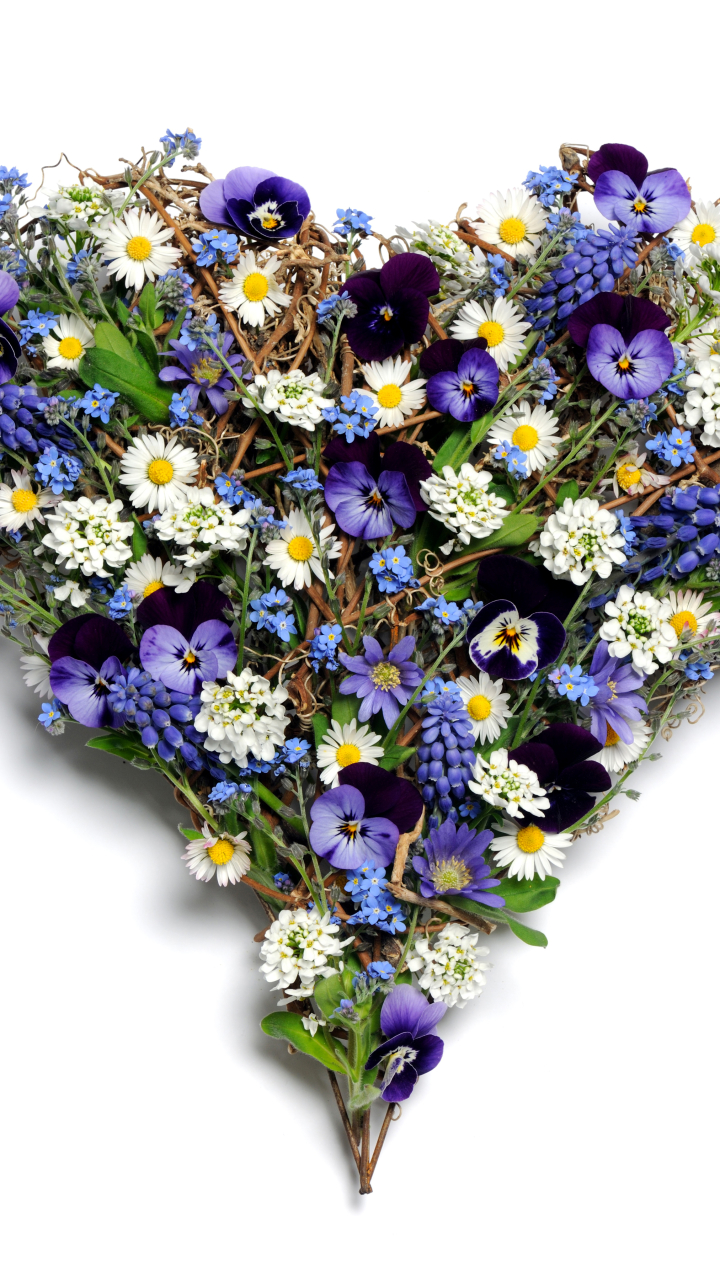 無料モバイル壁紙パンジー, カモミール, 花, 白い花, マンメイド, ハート型, 紫色の花をダウンロードします。