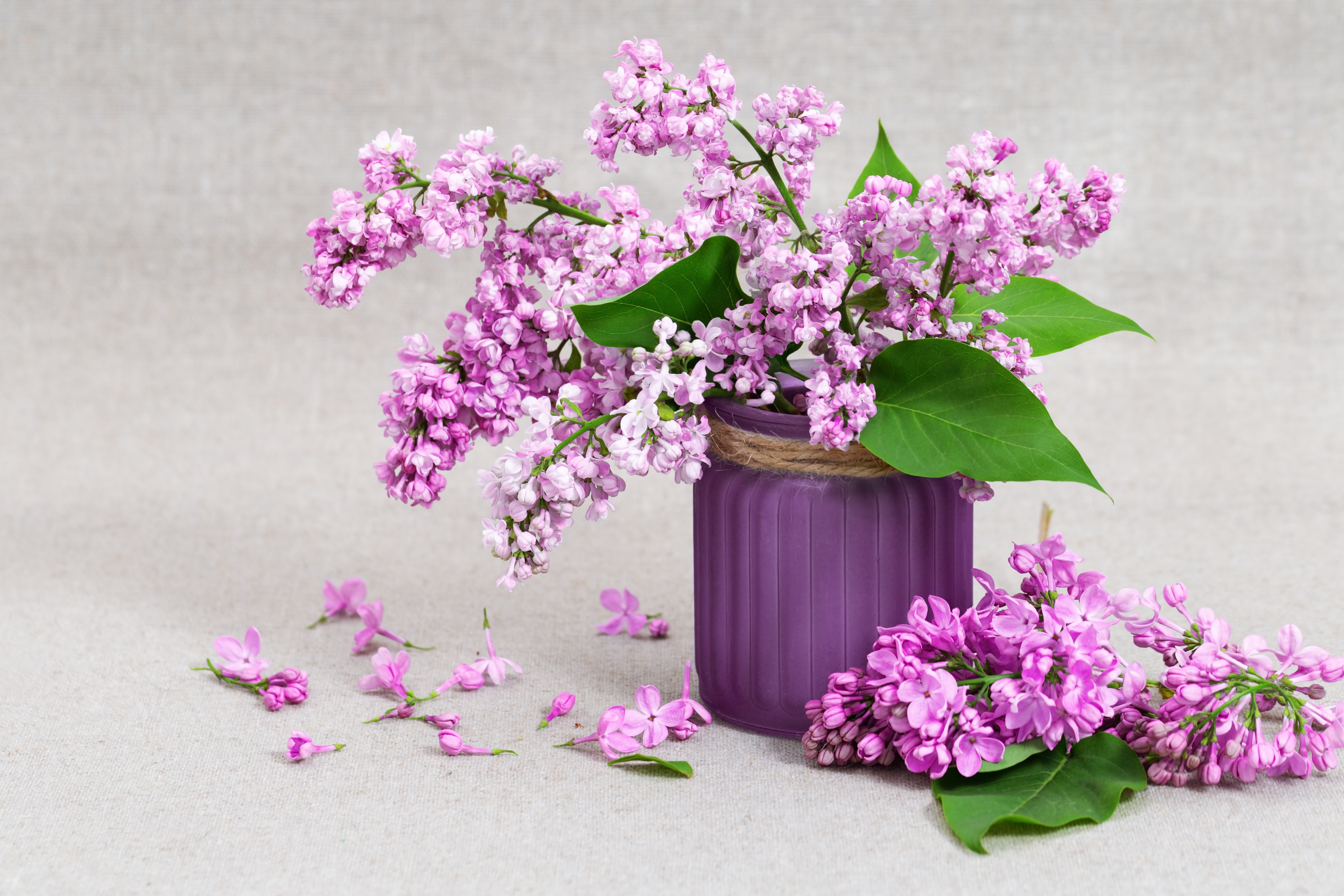 Free download wallpaper Lilac, Flower, Leaf, Jar, Man Made on your PC desktop