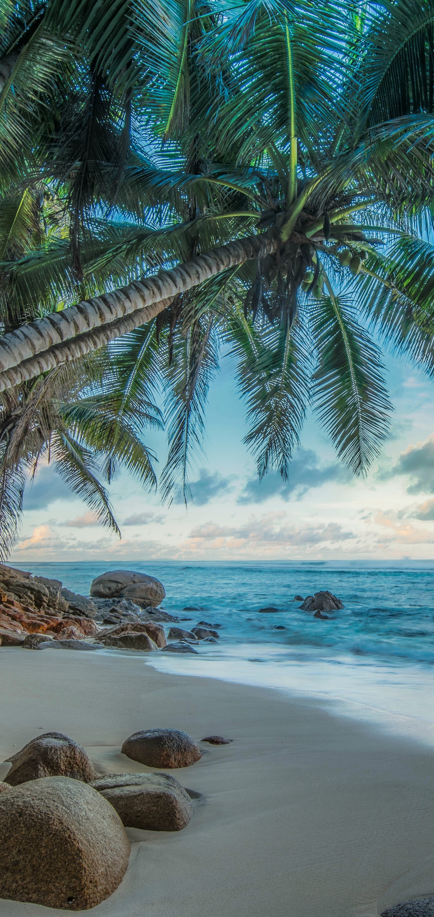 Download mobile wallpaper Sea, Beach, Horizon, Ocean, Hdr, Tropical, Photography, Palm Tree for free.