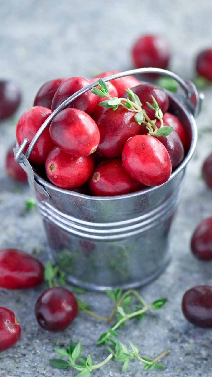Download mobile wallpaper Food, Berry, Cranberry for free.