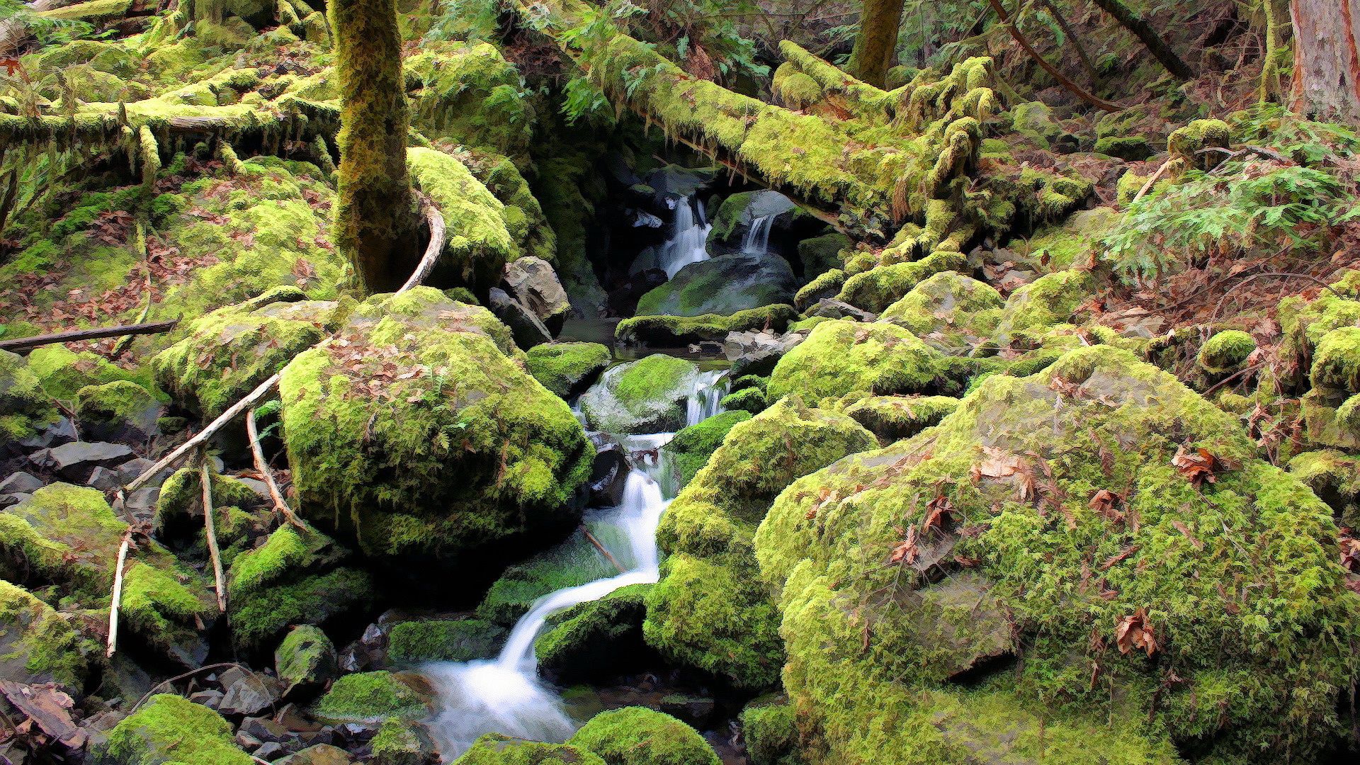 nature, stones, forest, moss, creek, brook