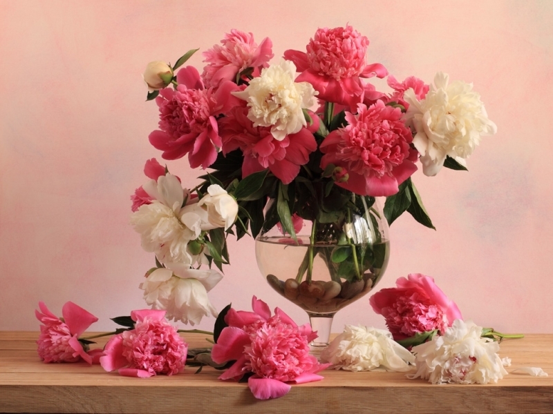 Bouquets cellphone Wallpaper