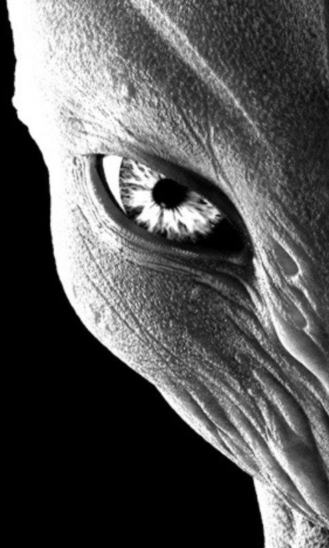 Download mobile wallpaper Alien, Sci Fi for free.