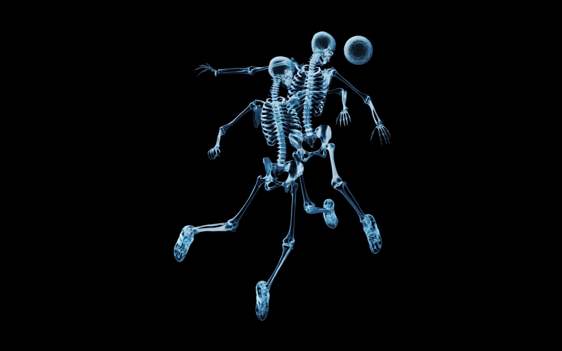 background, skeletons, black