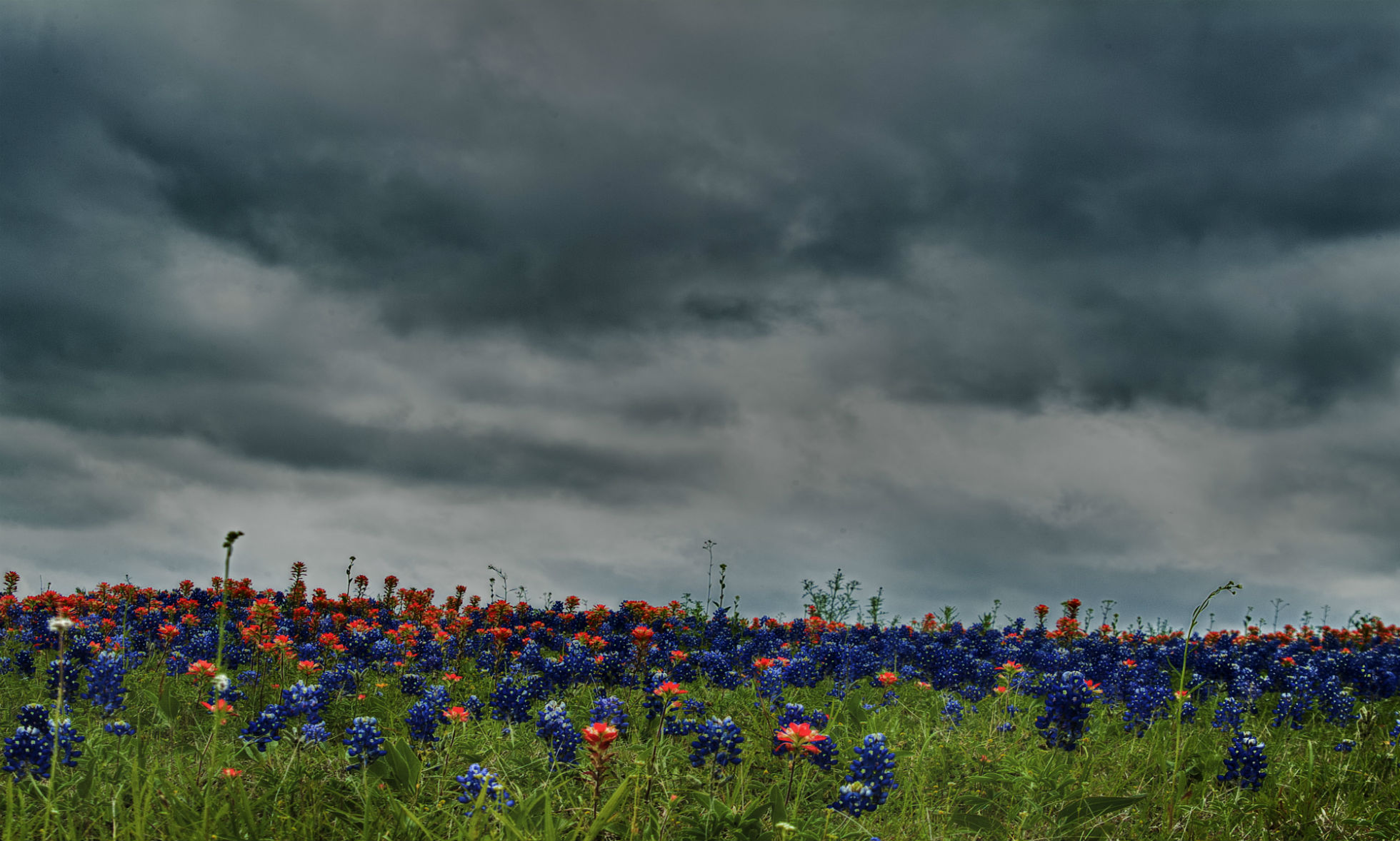 Free download wallpaper Landscape, Flowers, Flower, Earth, Cloud on your PC desktop