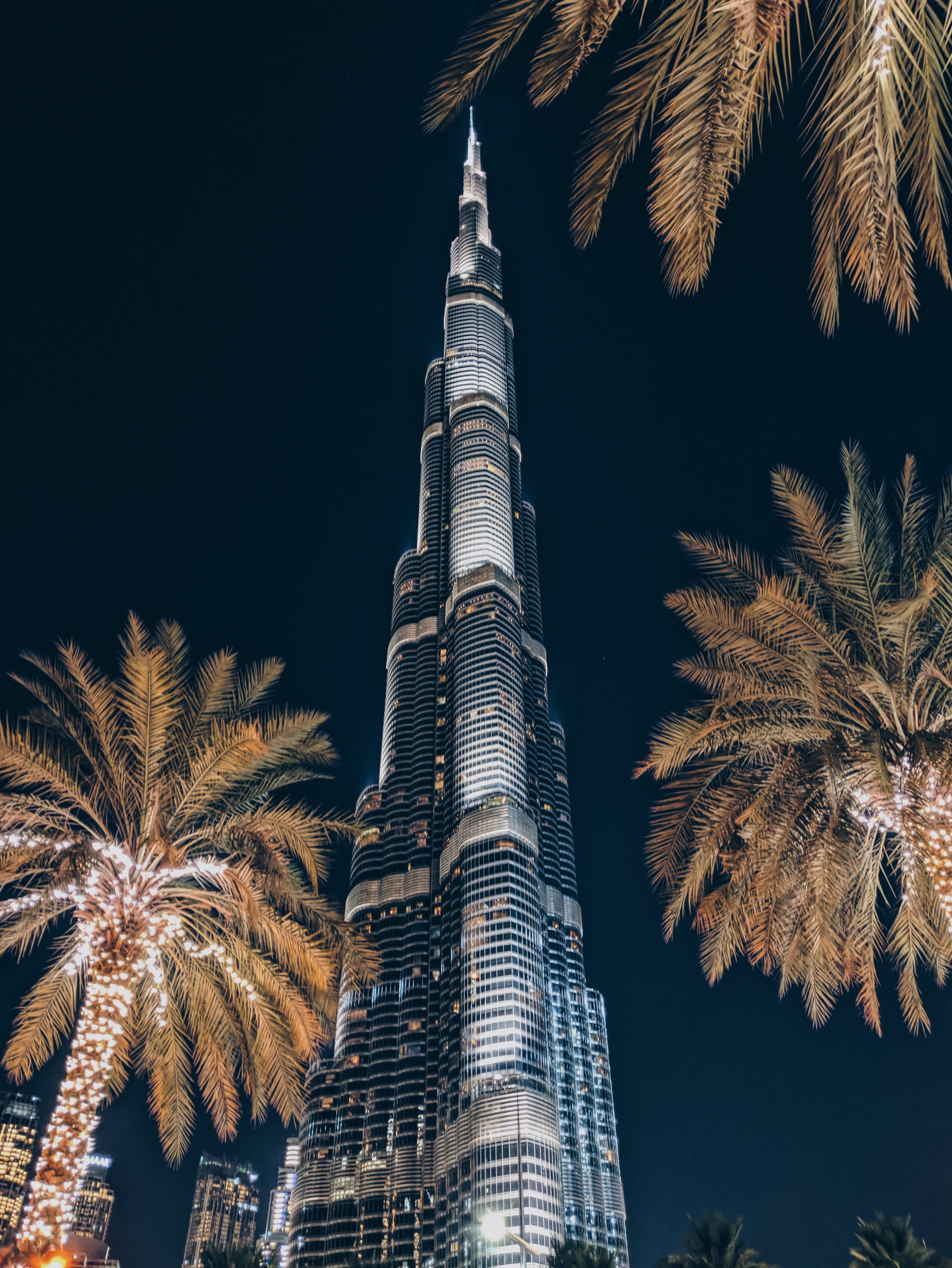 architecture, skyscraper, cities, palms, building, tower Full HD