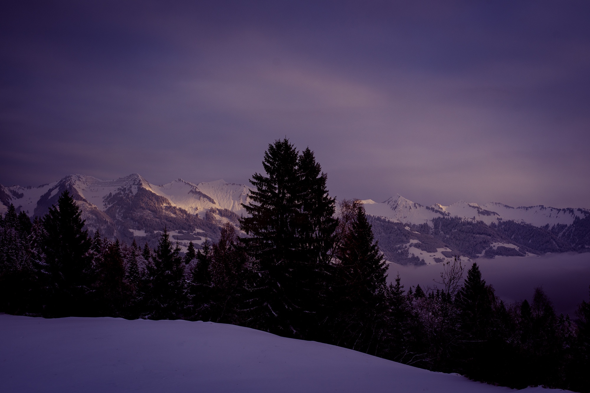 Download mobile wallpaper Landscape, Winter, Mountains, Snow, Mountain, Peak, Tree, Austria, Earth, Evening, Purple for free.