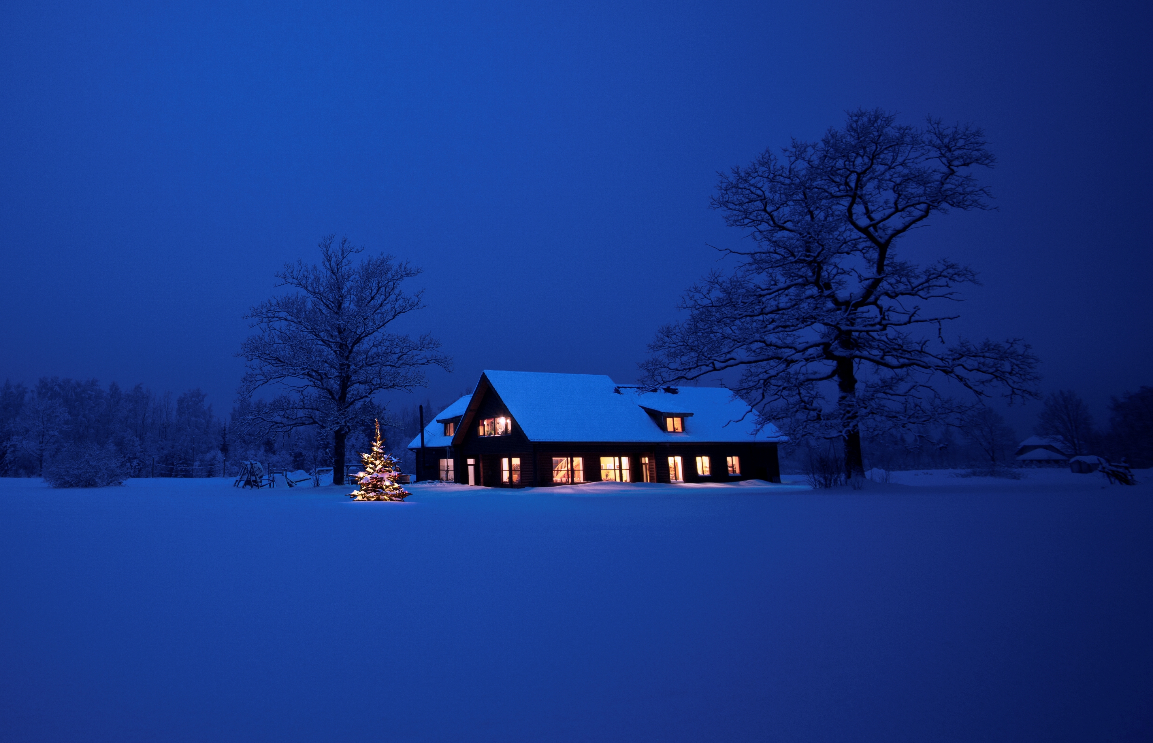 Handy-Wallpaper Winter, Schnee, Licht, Baum, Weihnachtsbaum, Fotografie, Nacht kostenlos herunterladen.