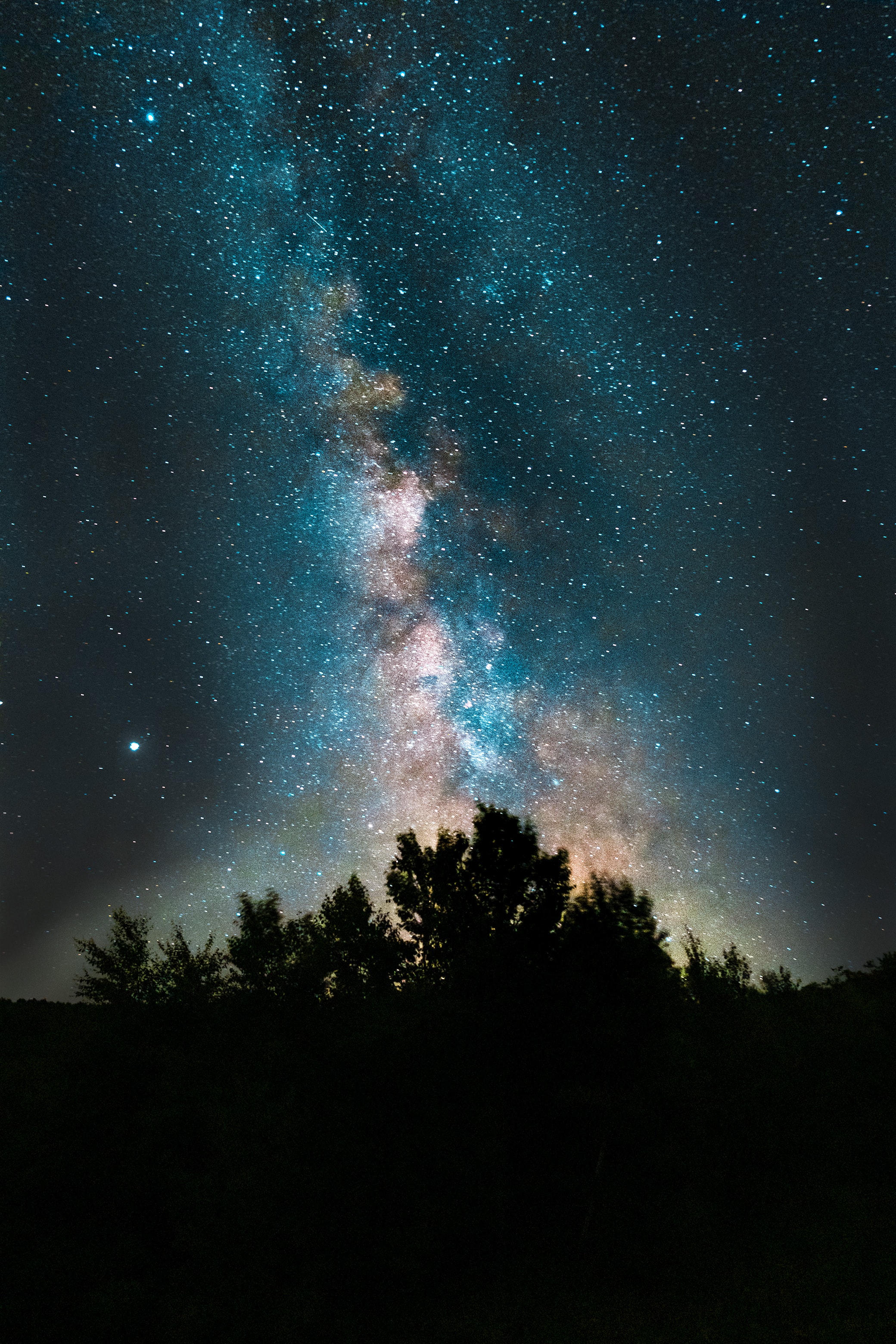 Descarga gratuita de fondo de pantalla para móvil de Niebla, Arbusto, Oscuro, Cielo Estrellado, Estrellas, Universo.