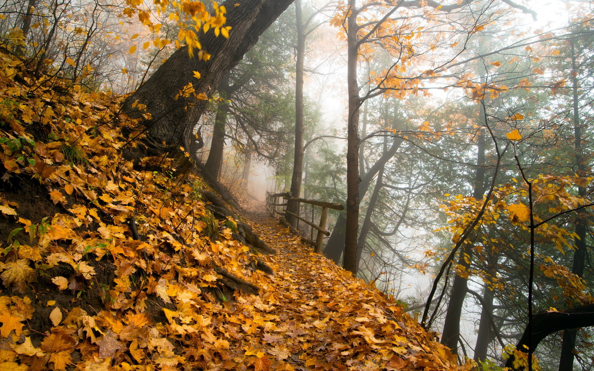 Téléchargez gratuitement l'image Automne, Terre/nature sur le bureau de votre PC