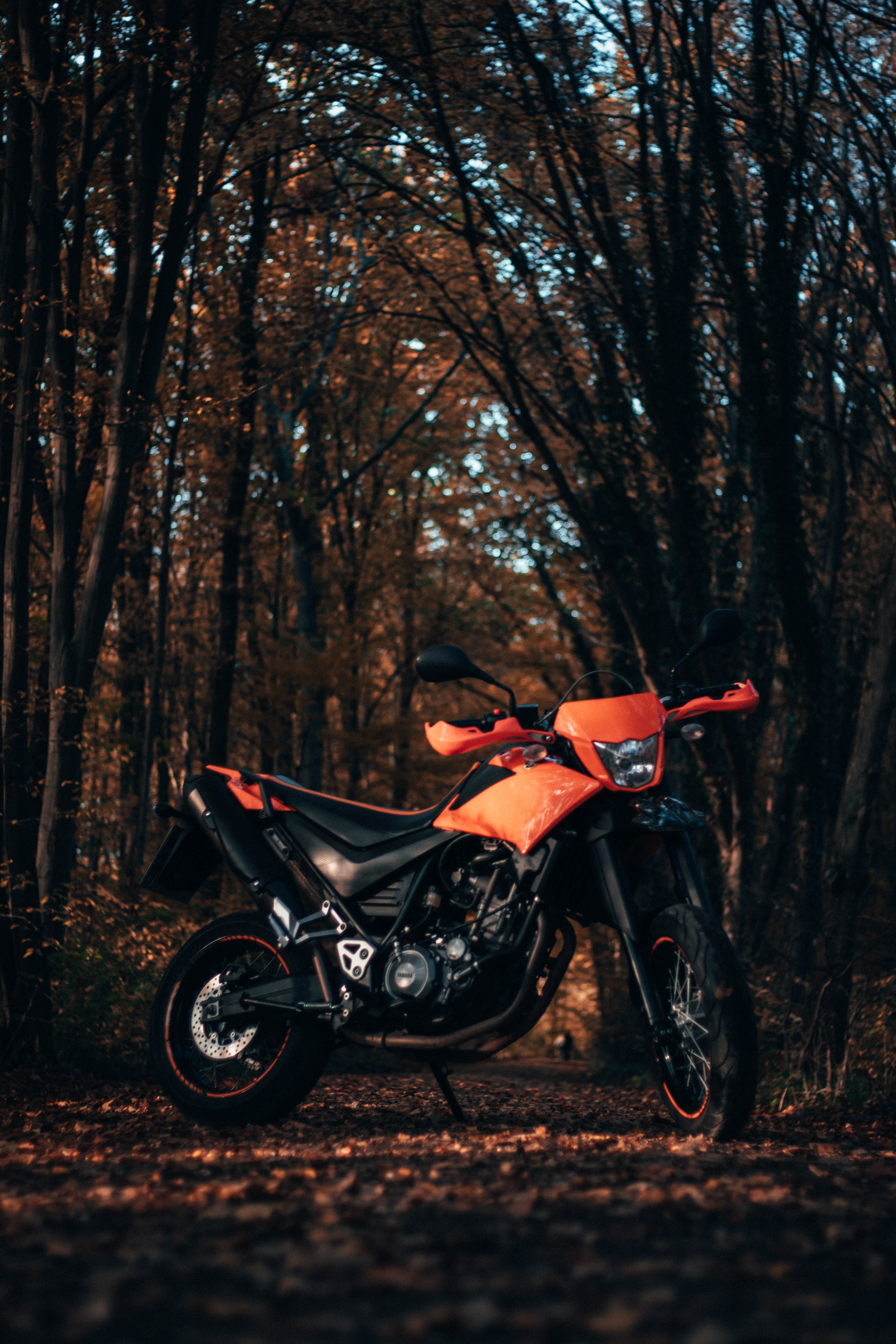Download mobile wallpaper Motorcycle, Bike, Motorcycles, Side View for free.