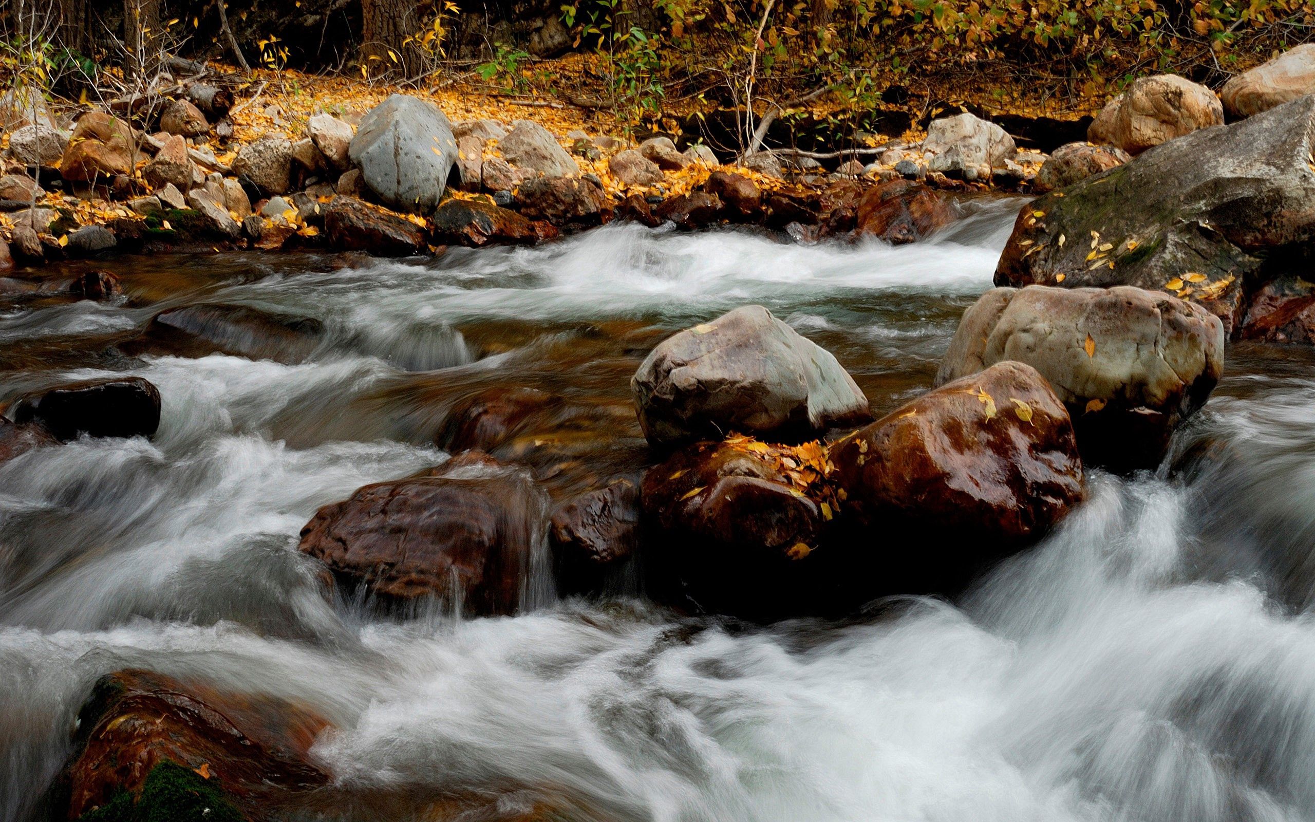Free download wallpaper Nature, Stones, Rivers, Leaves on your PC desktop