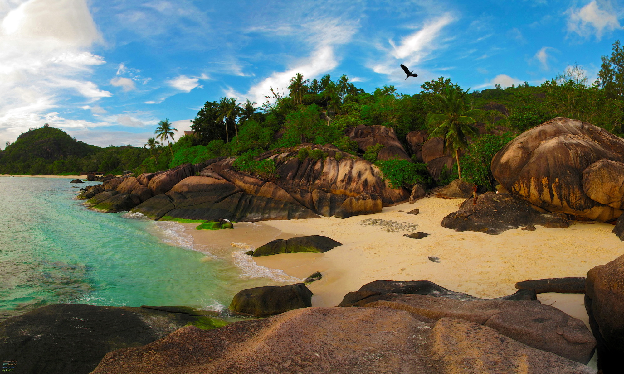 746091 Bild herunterladen seychellen, erde/natur, strand, palme - Hintergrundbilder und Bildschirmschoner kostenlos