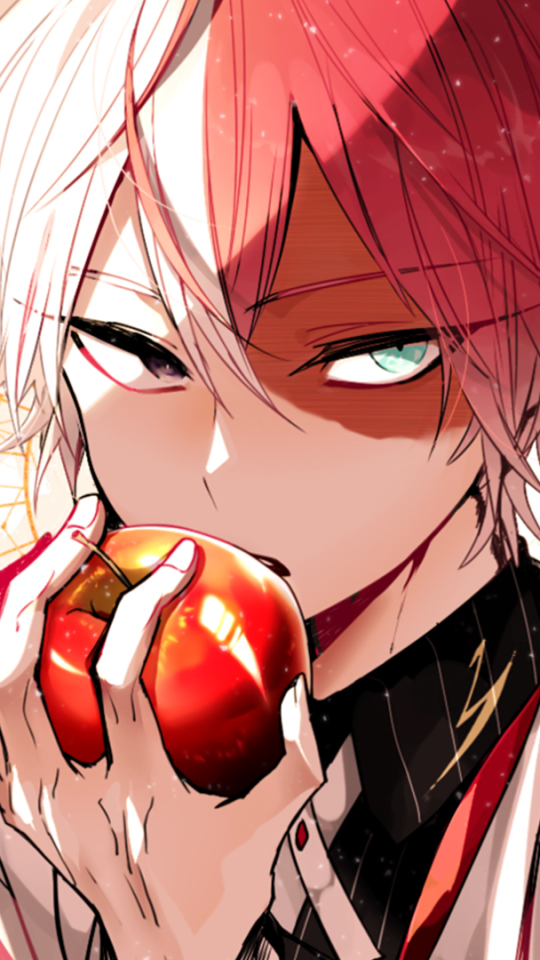 Download mobile wallpaper Anime, Shoto Todoroki, My Hero Academia for free.