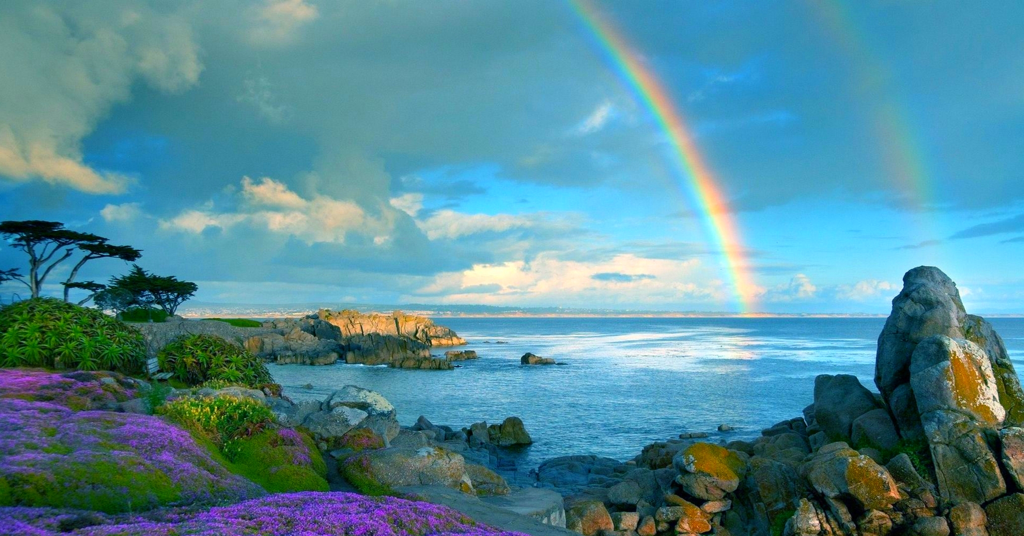 Download mobile wallpaper Sky, Sea, Rainbow, Flower, Coast, Ocean, Earth, Colors, Coastline for free.