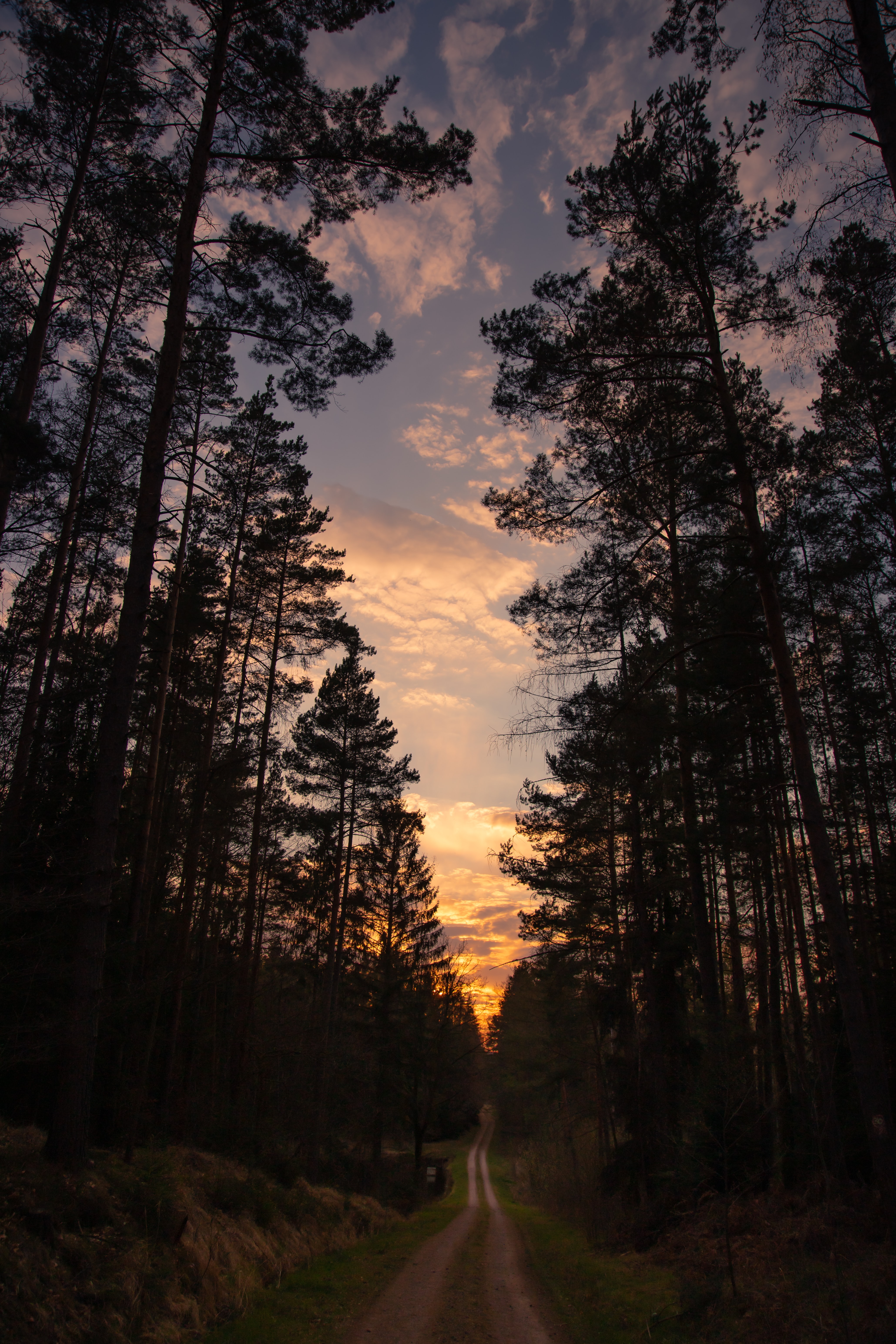 Free download wallpaper Sunset, Sky, Road, Forest, Nature, Trees on your PC desktop