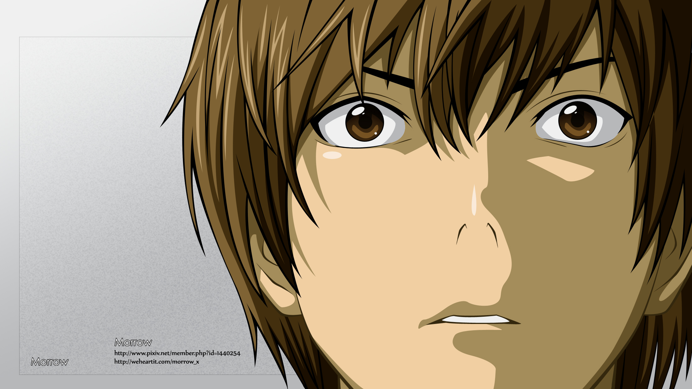 Free download wallpaper Anime, Death Note, Light Yagami on your PC desktop