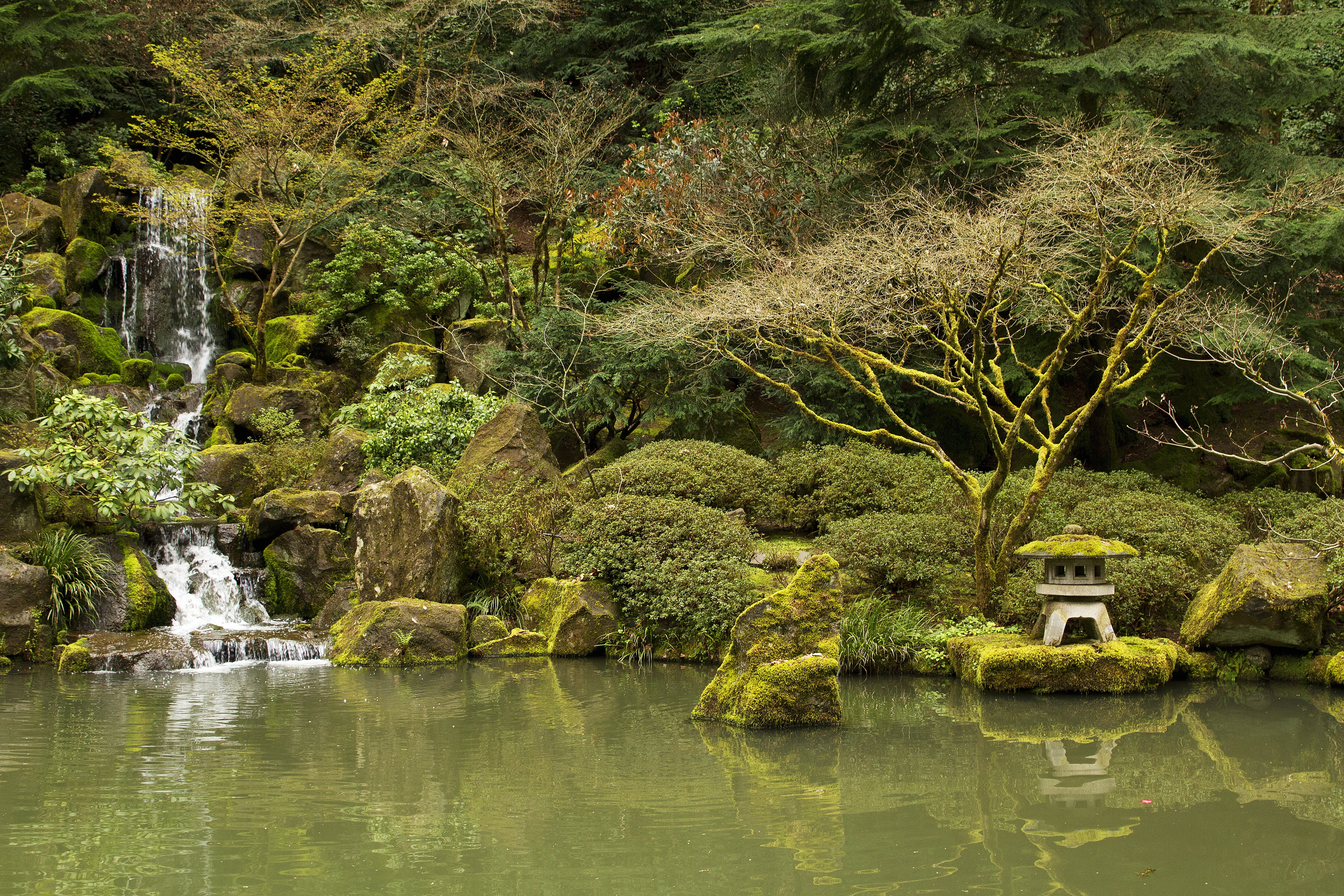 Скачать обои бесплатно Природа, Водопад, Сад, Пруд, Сделано Человеком, Японский Сад картинка на рабочий стол ПК