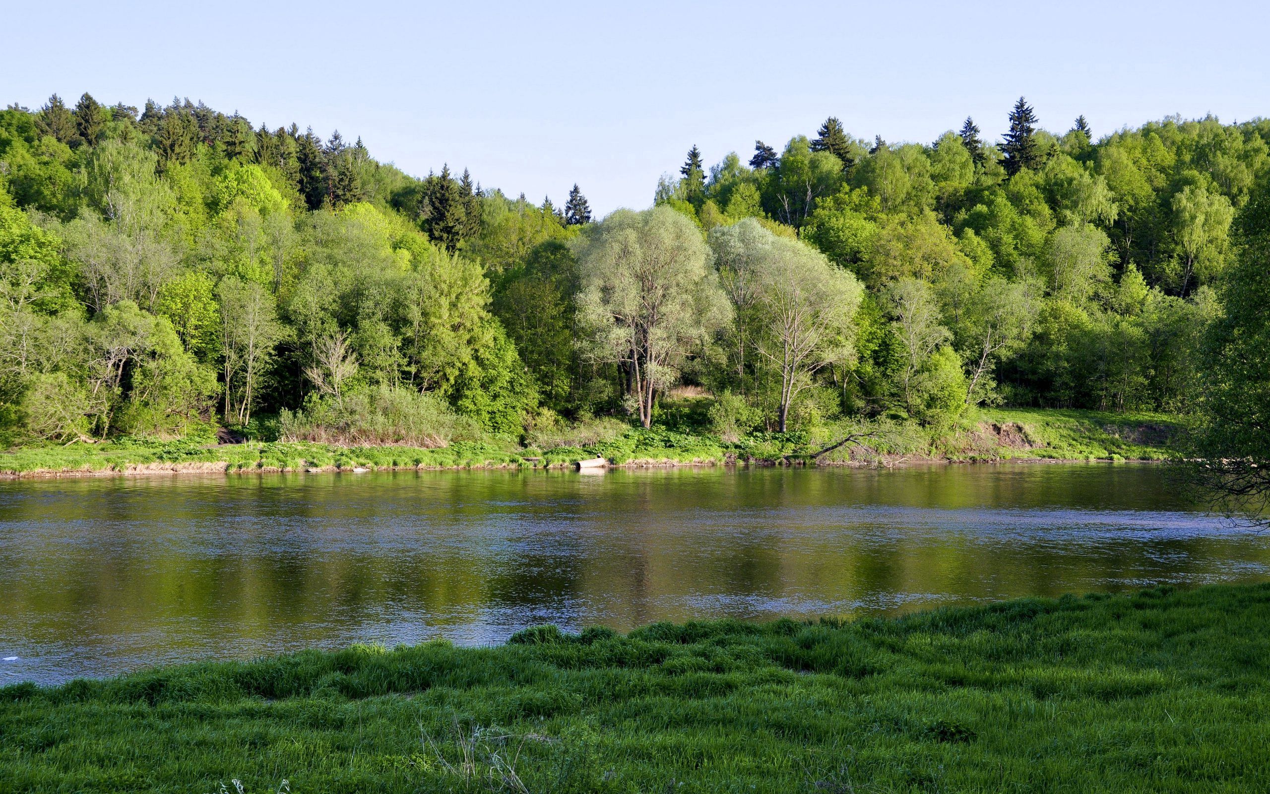 Laden Sie das Flüsse, Bäume, Grass, Bank, Natur, Ufer-Bild kostenlos auf Ihren PC-Desktop herunter