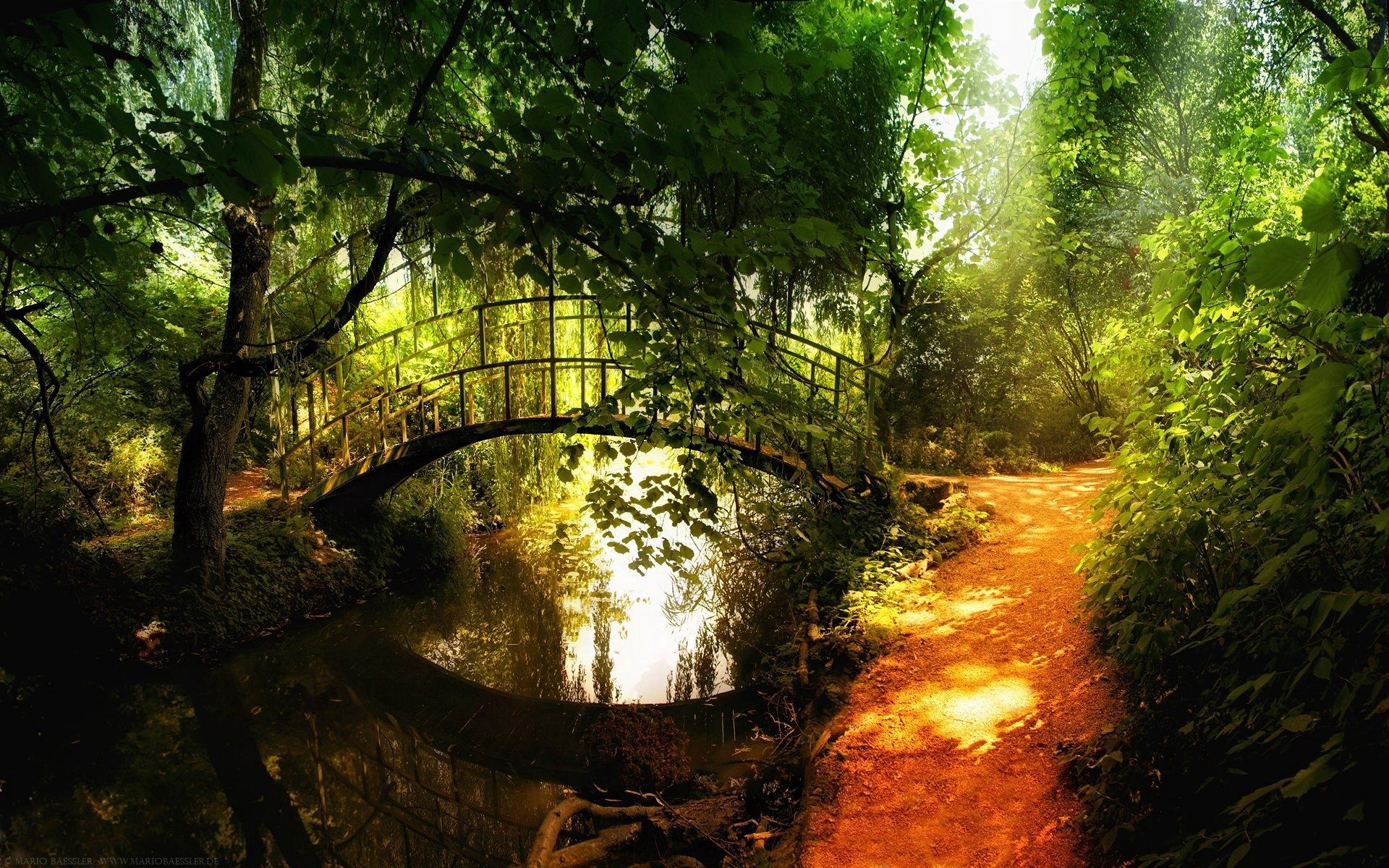 121576 скачать картинку мостик, природа, деревья, река, парк, тропа, просветы - обои и заставки бесплатно