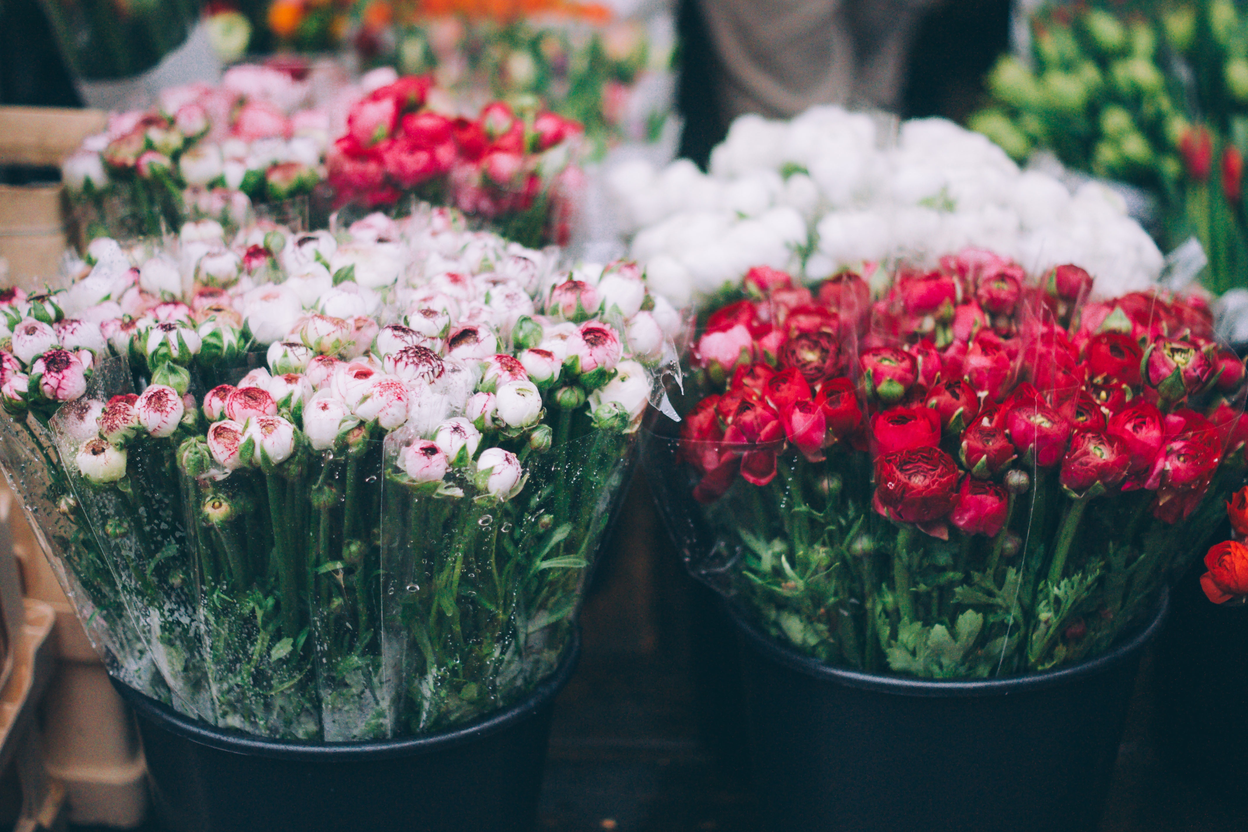 Full HD Wallpaper flowers, bouquets, blur, smooth