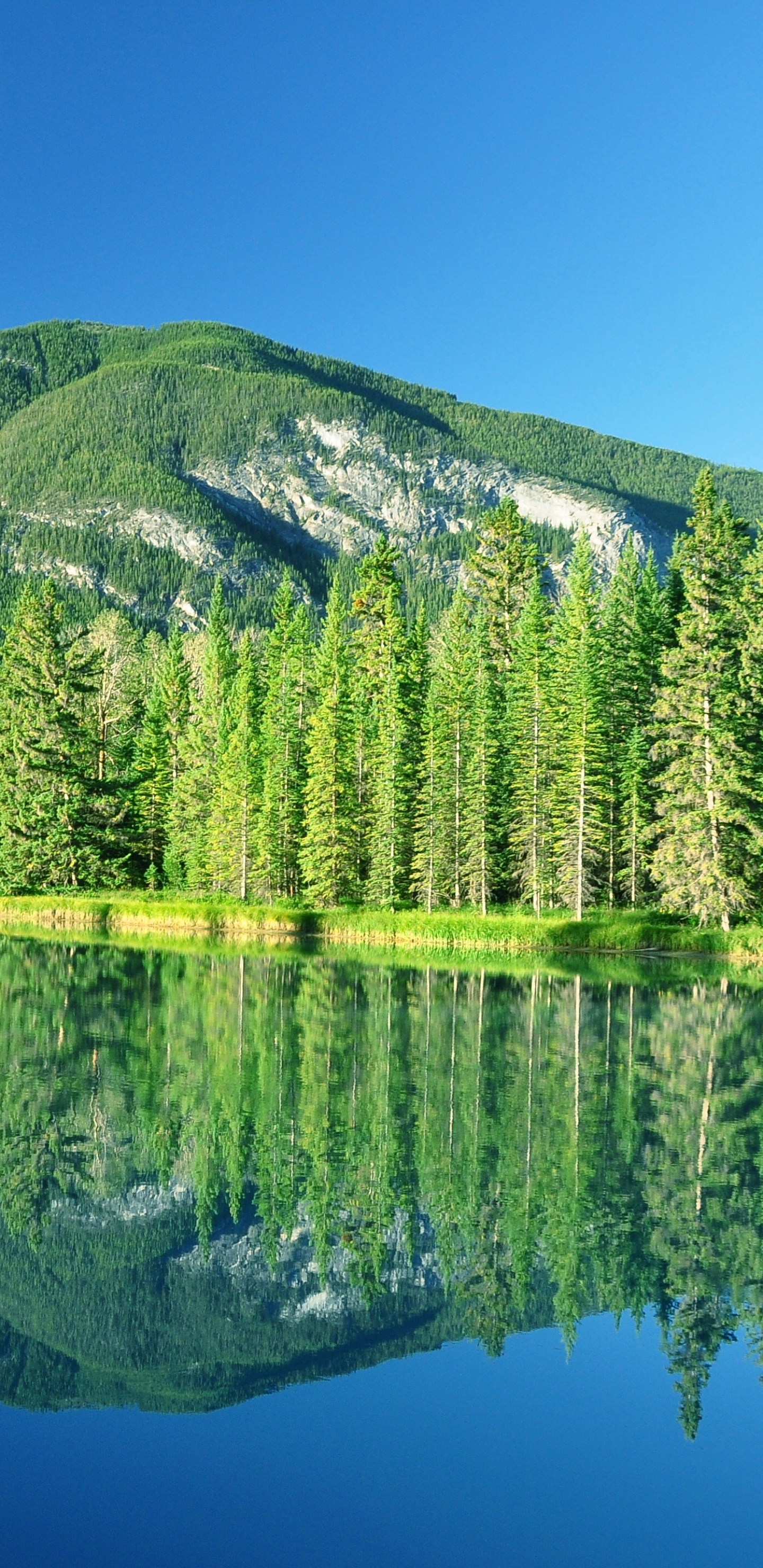 Скачать картинку Гора, Отражение, Канада, Дерево, Национальный Парк Банф, Земля/природа в телефон бесплатно.